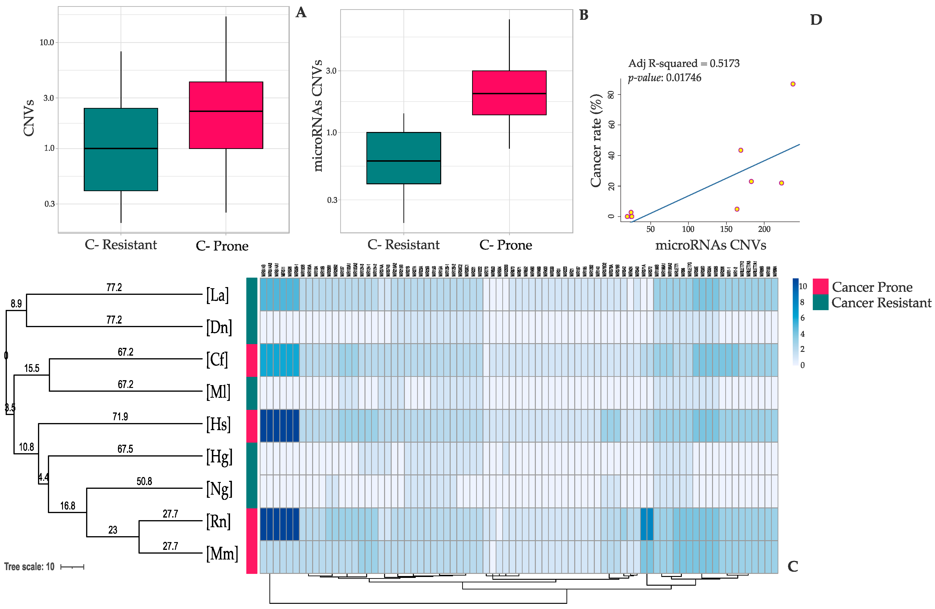 Genes 13 01046 g001