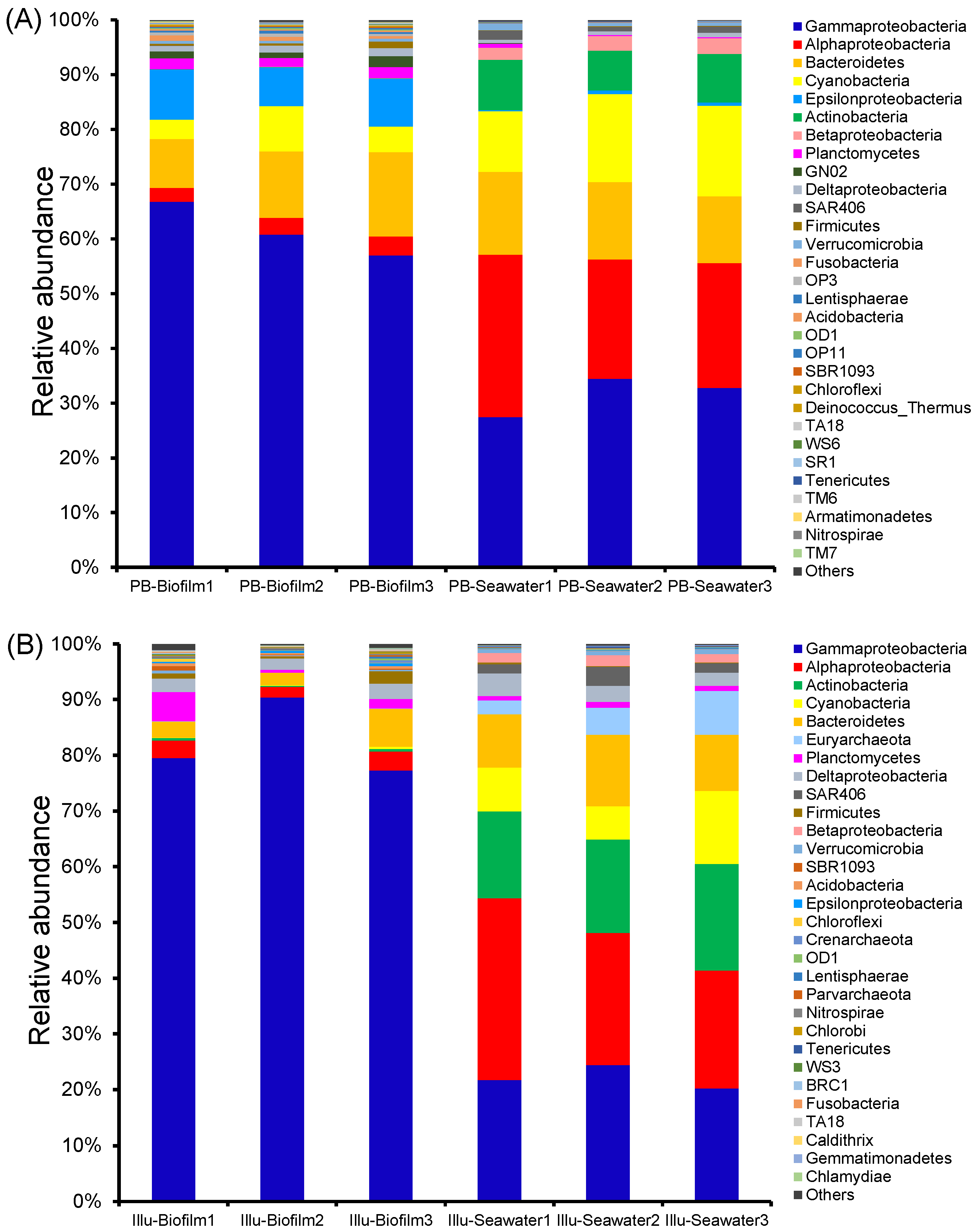Genes 13 01050 g004