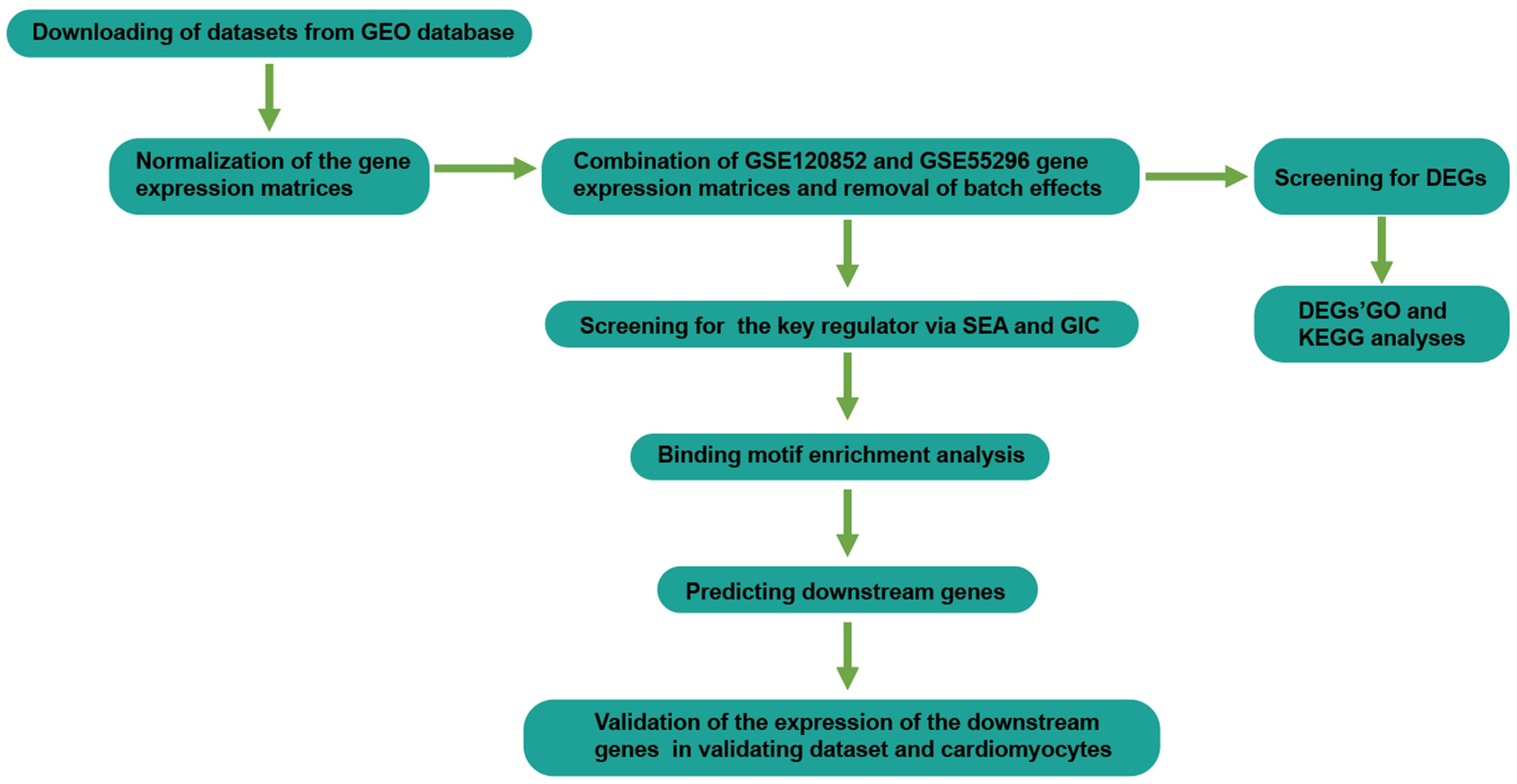 Genes 13 01051 g001 550