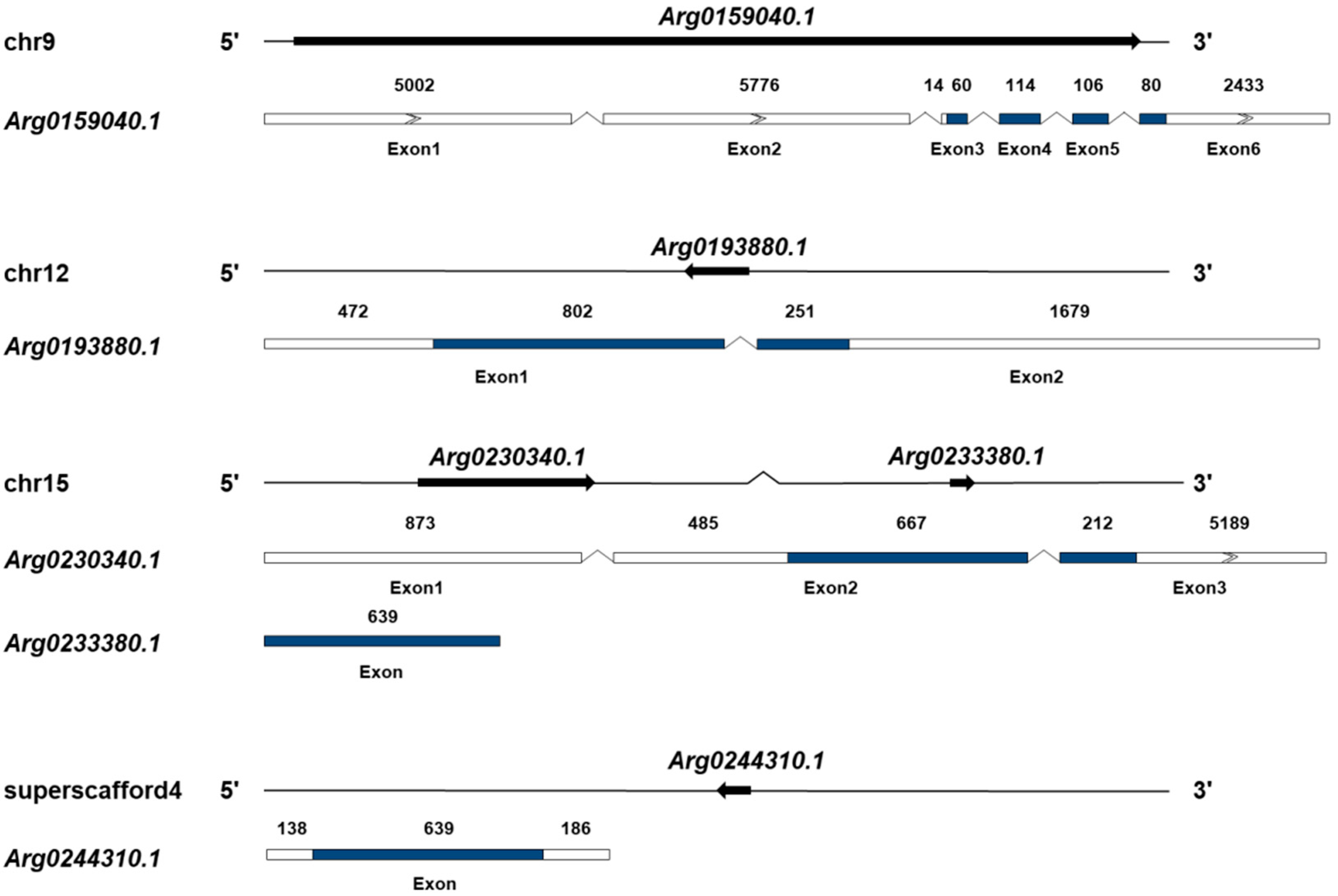 Genes 13 01057 g001 Genes 13 01057 g001