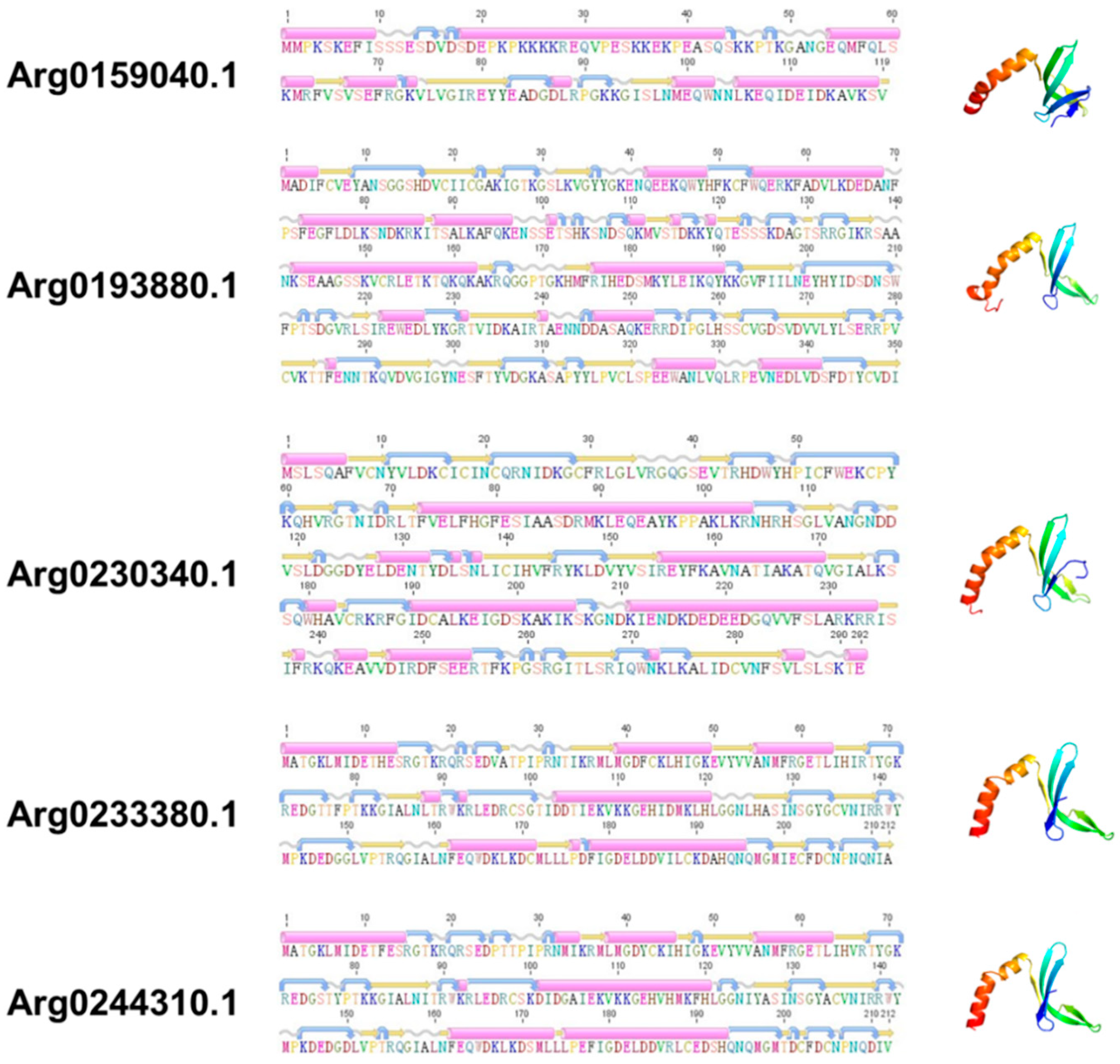 Genes 13 01057 g003 Genes 13 01057 g003