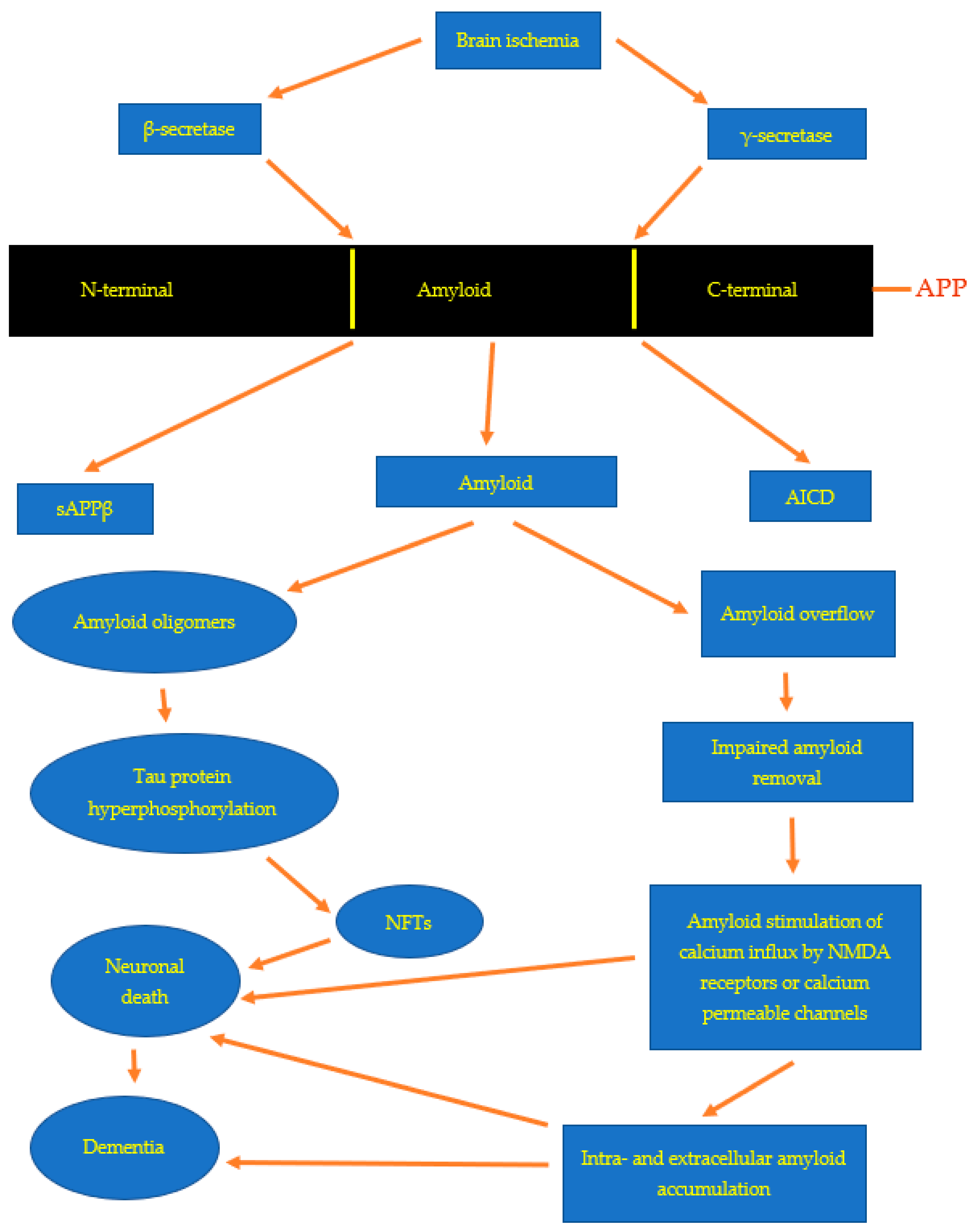 Genes 13 01059 g001 550