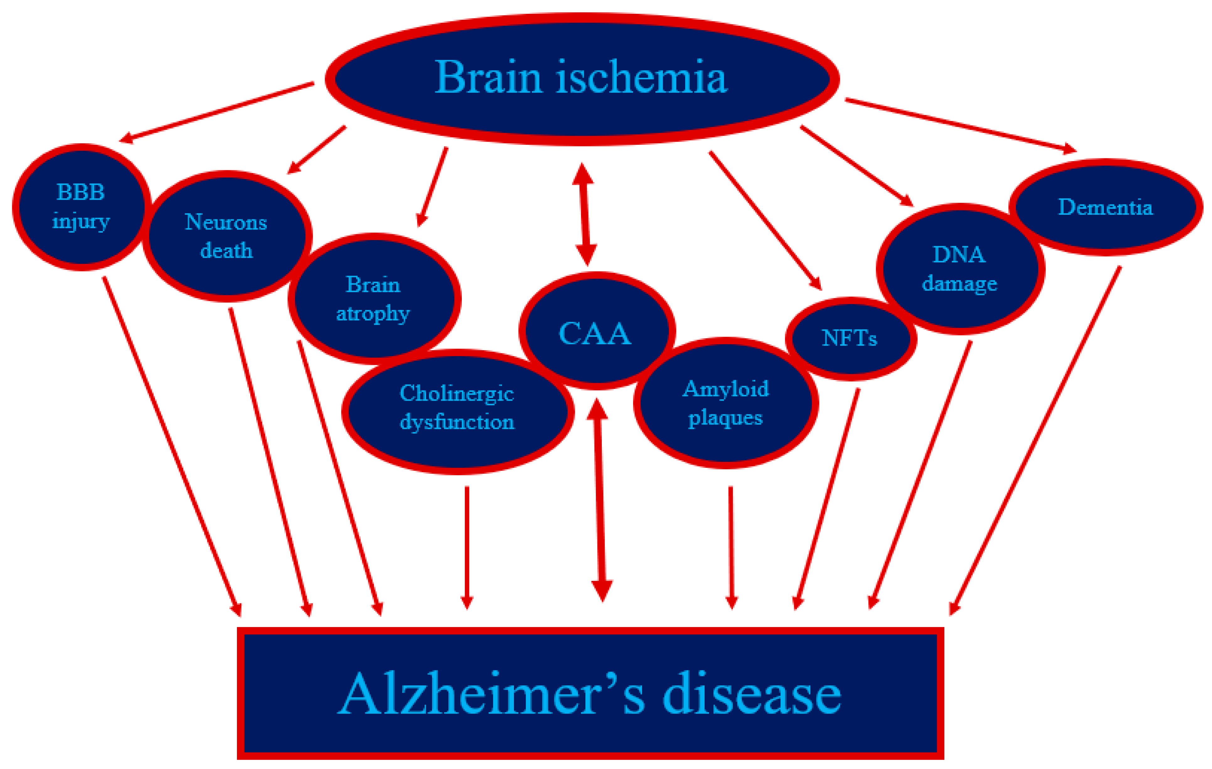 Genes 13 01059 g002 550