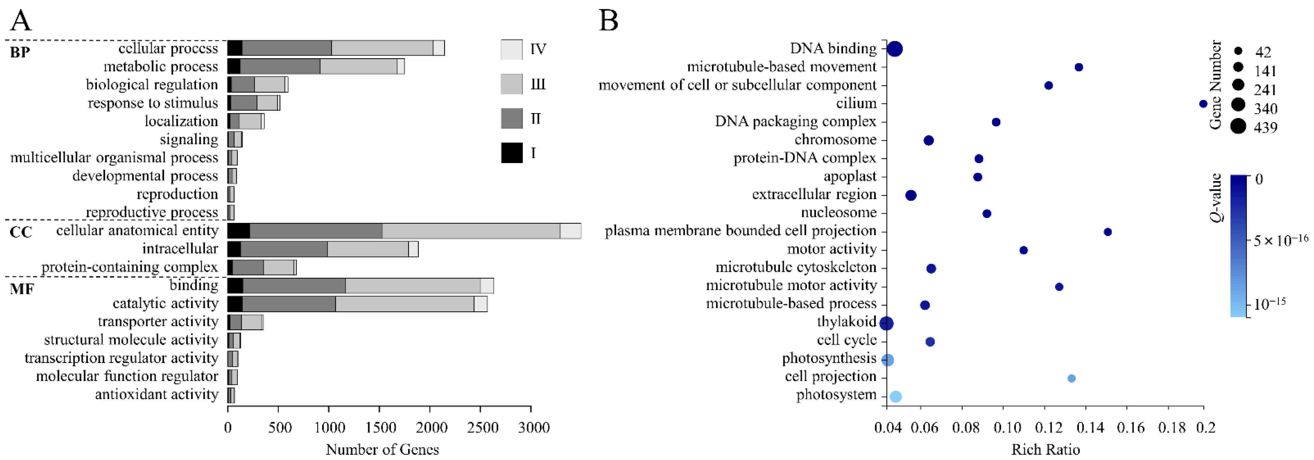 Genes 13 01061 g003 550