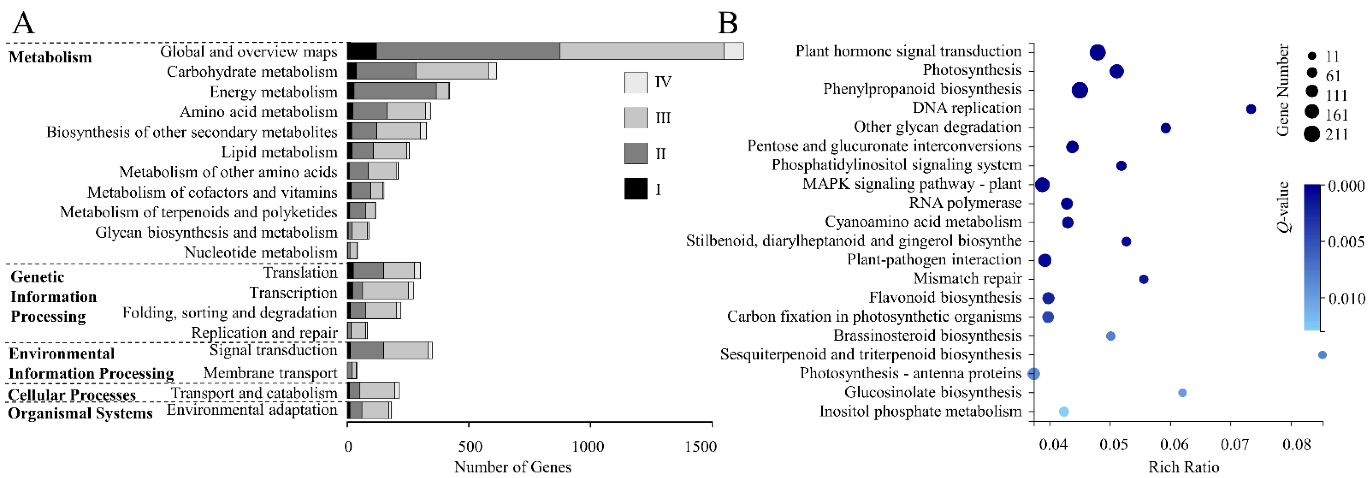 Genes 13 01061 g004 550