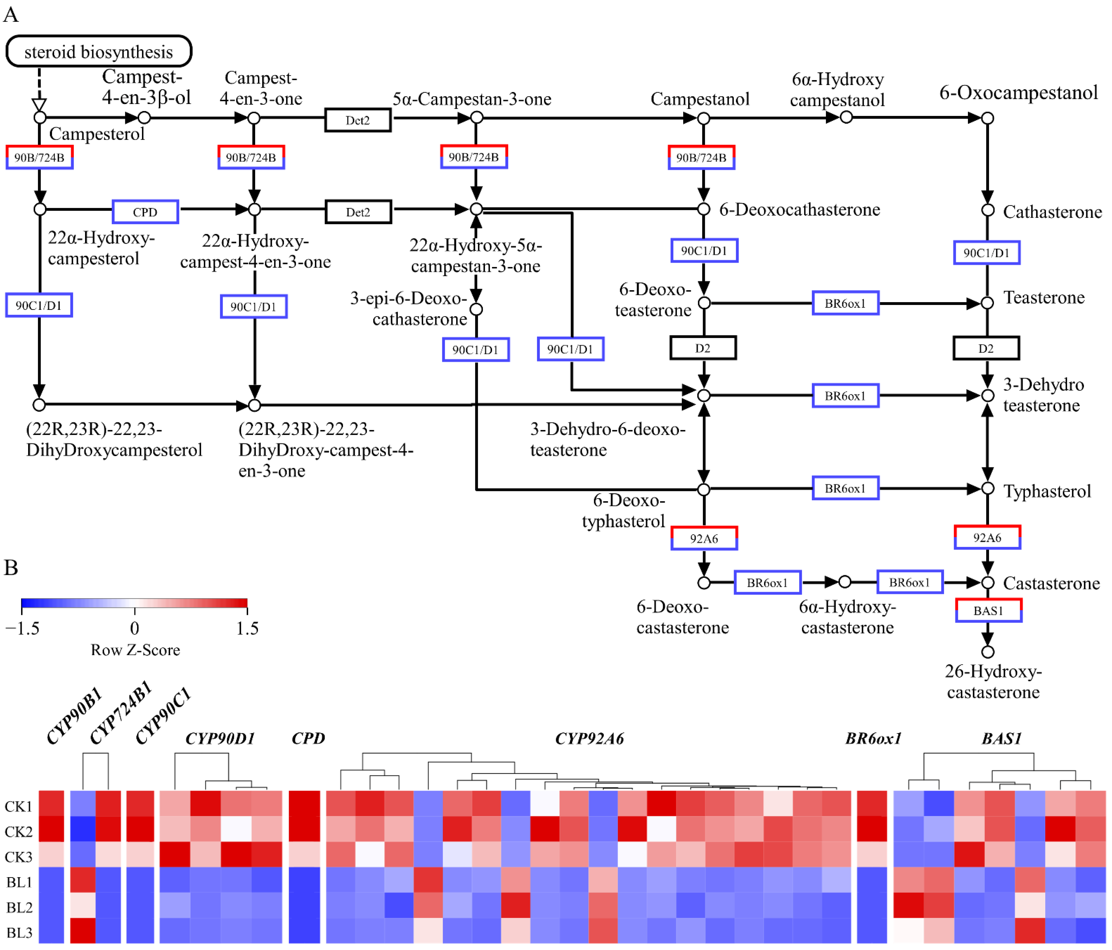 Genes 13 01061 g007 550