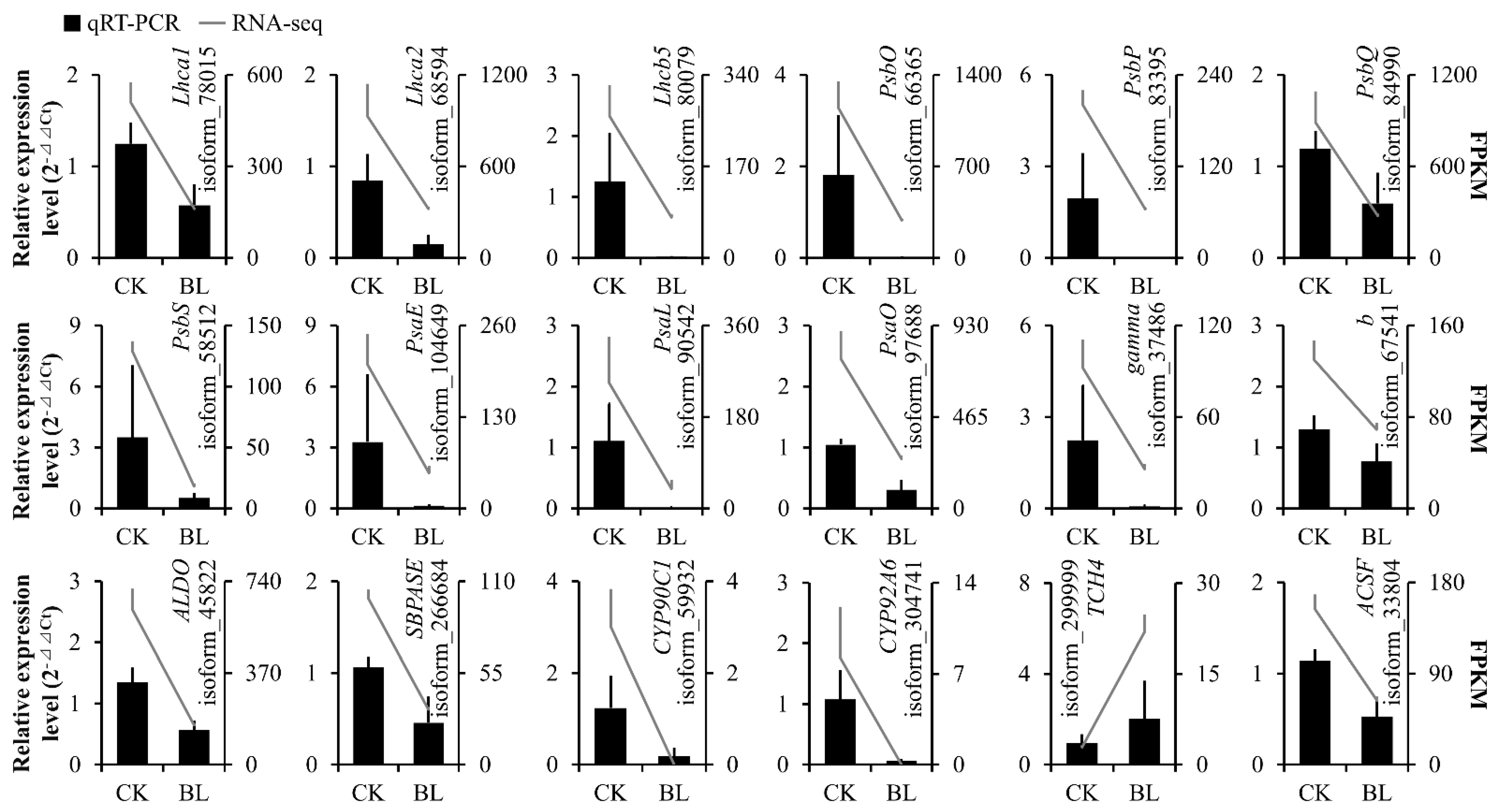 Genes 13 01061 g008 550