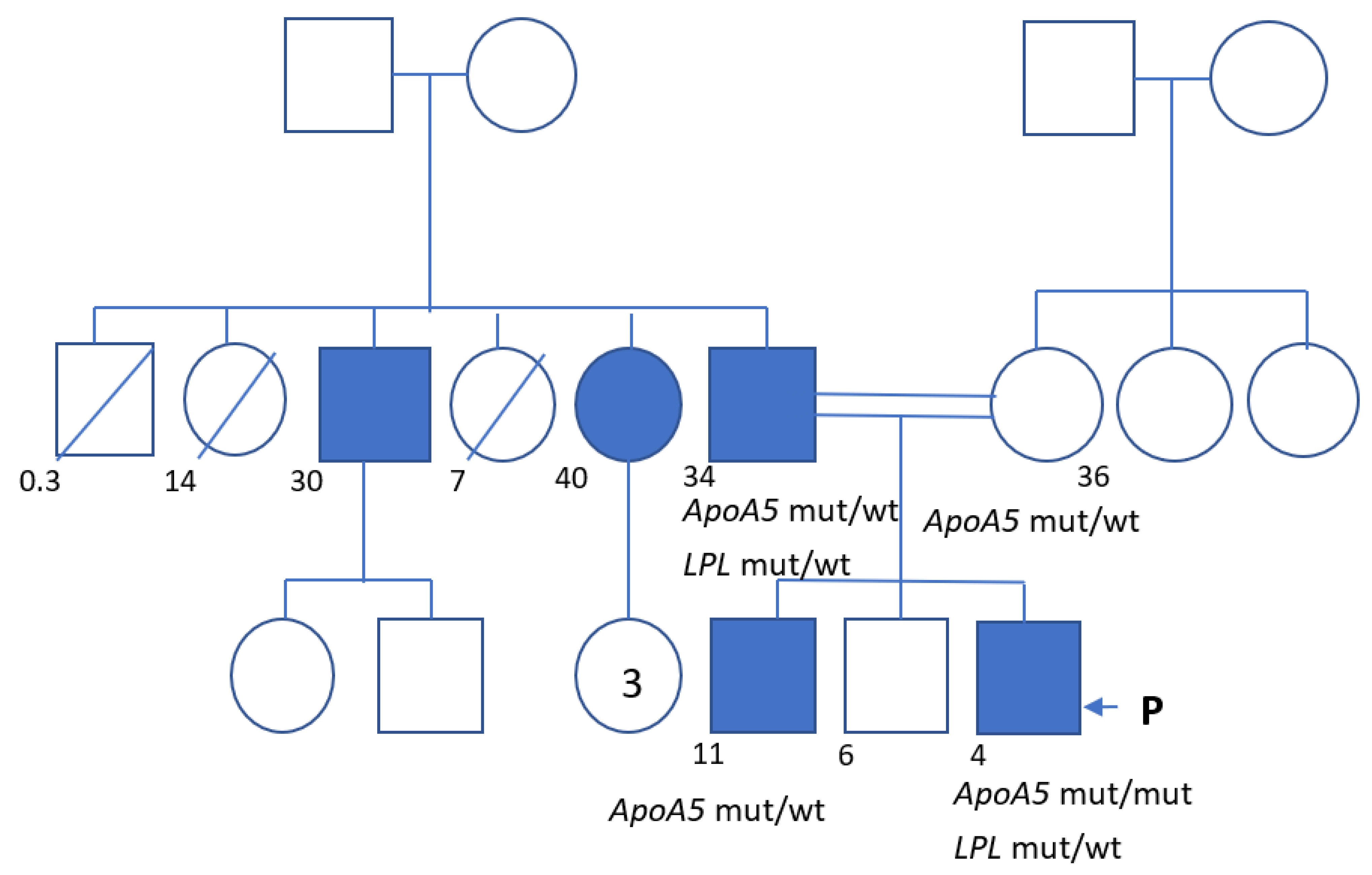 Genes 13 01062 g001 Genes 13 01062 g001