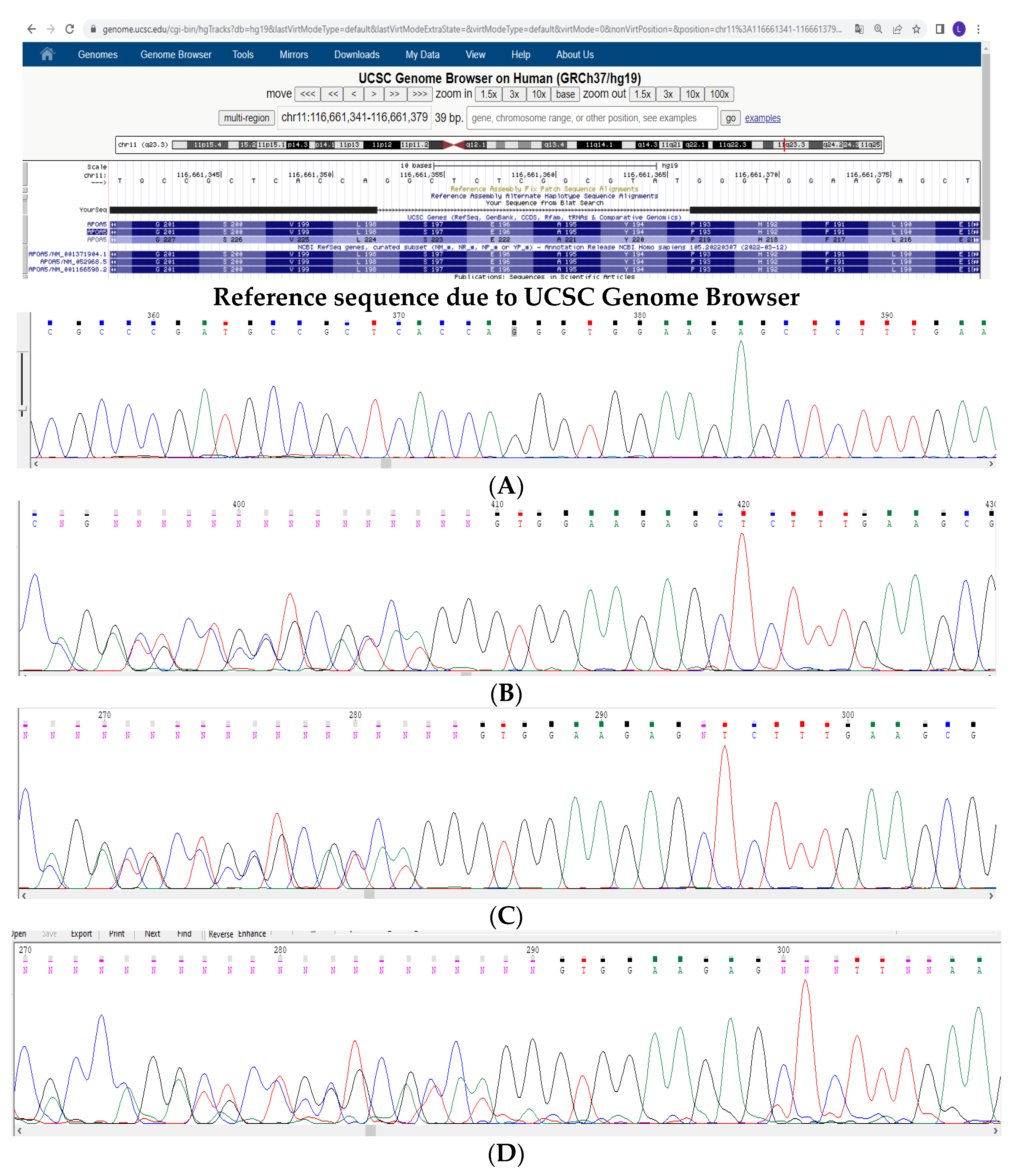 Genes 13 01062 g003 Genes 13 01062 g003
