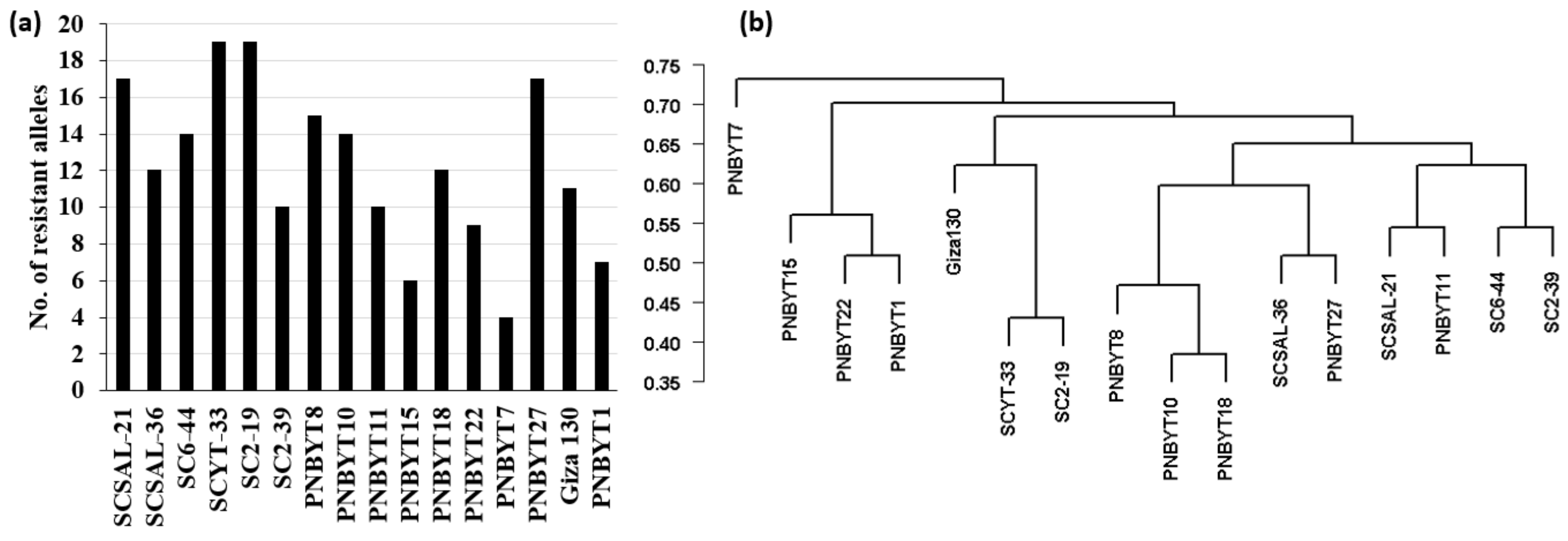 Genes 13 01075 g005