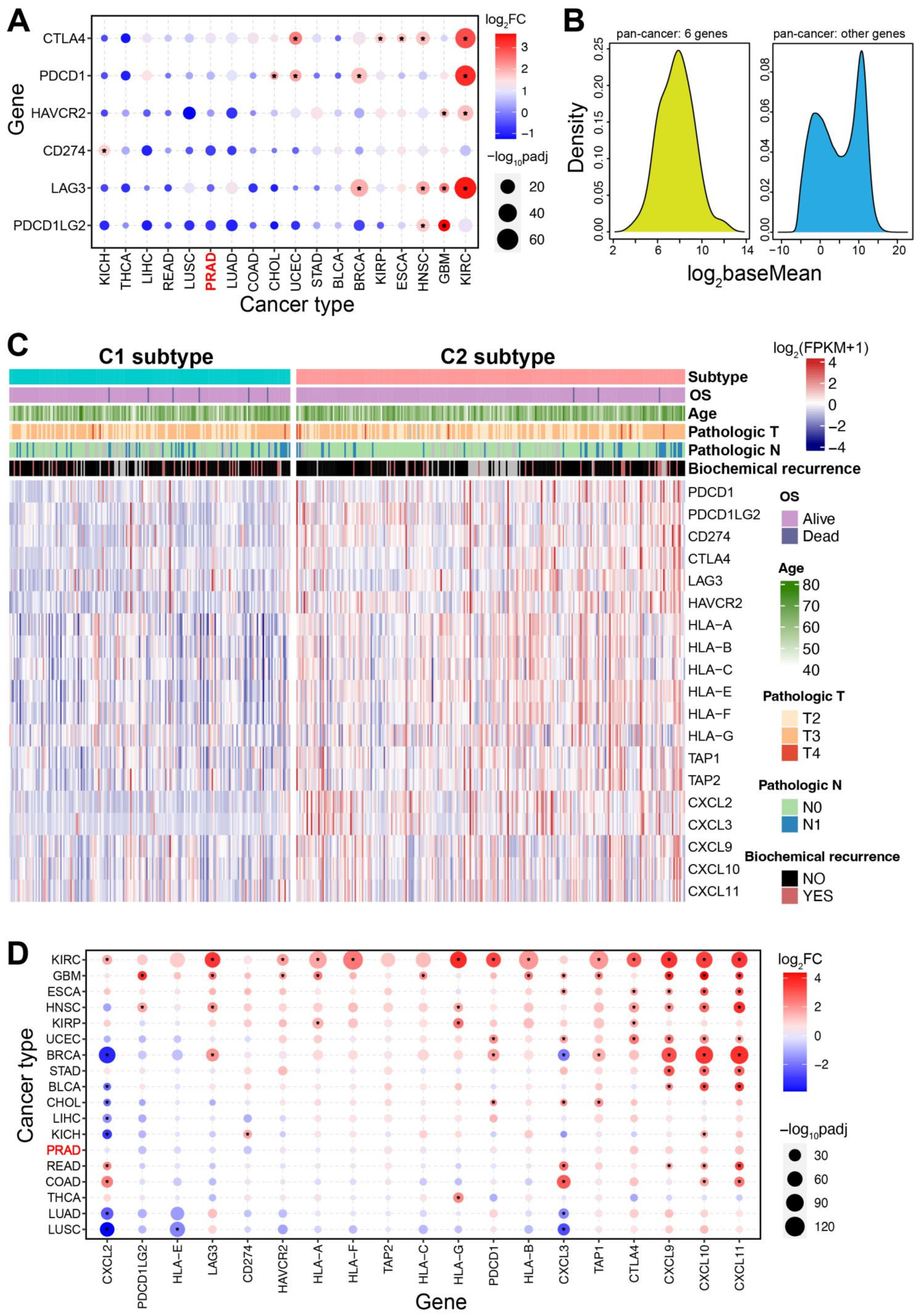 Genes 13 01087 g003
