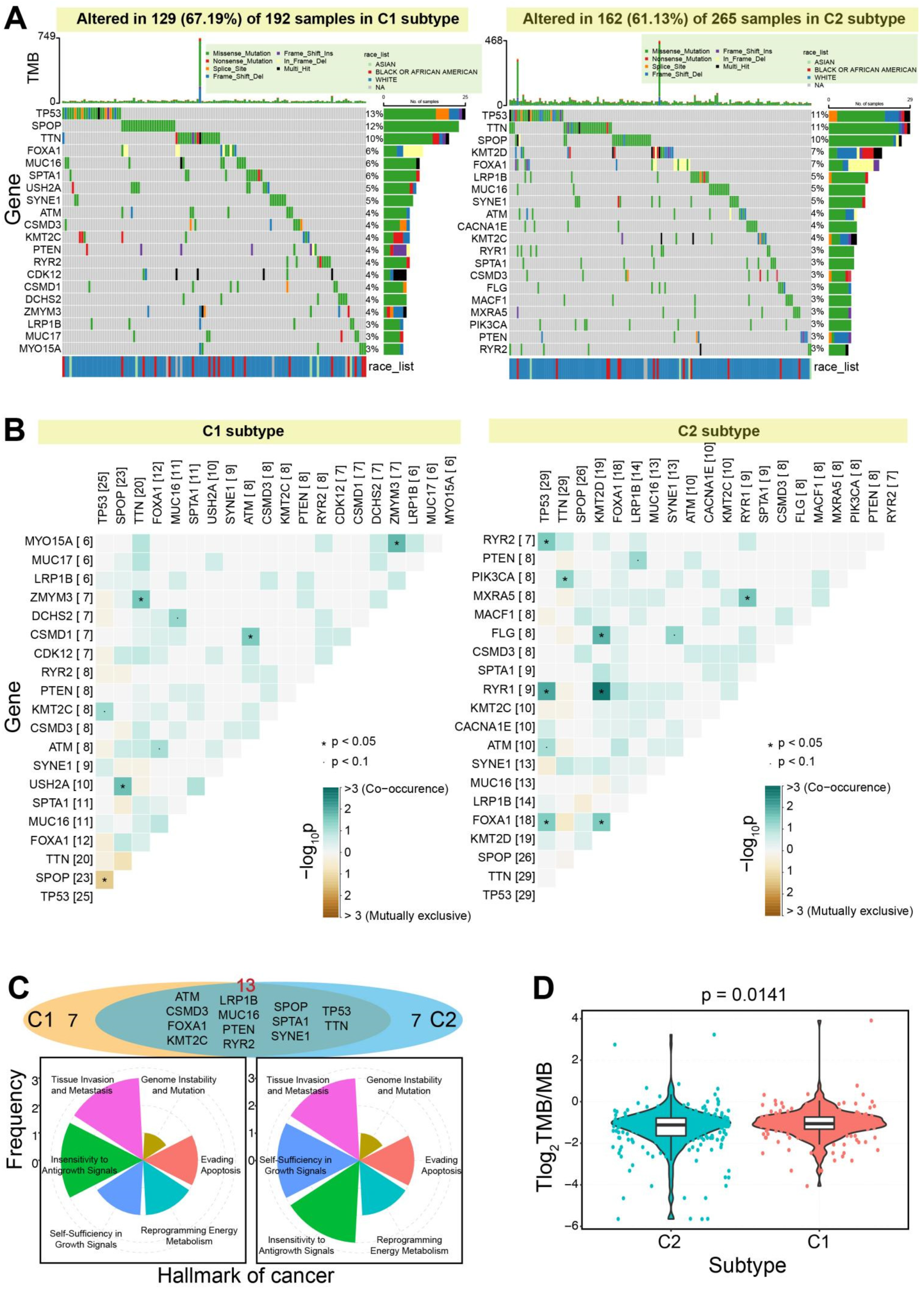 Genes 13 01087 g005