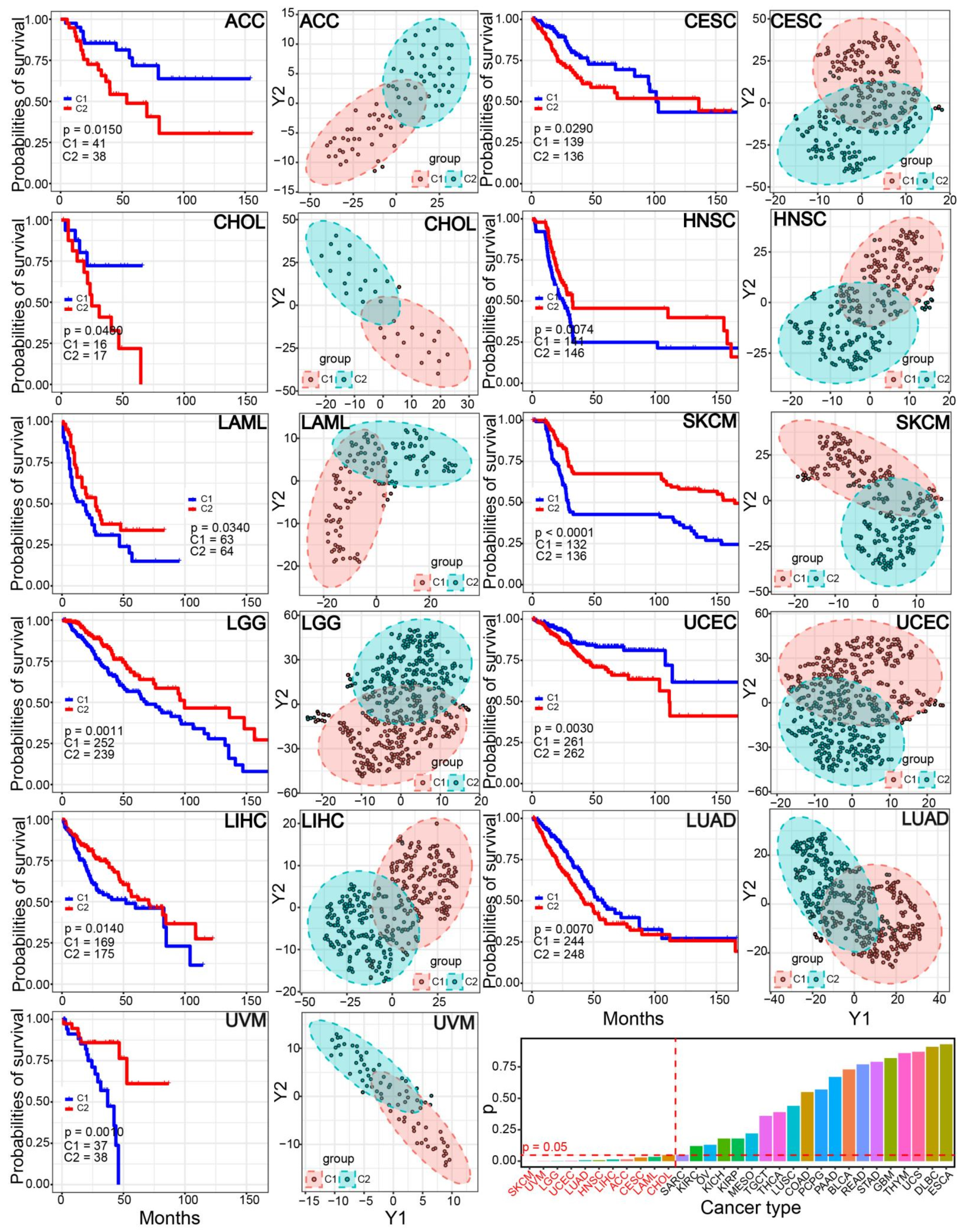 Genes 13 01087 g007