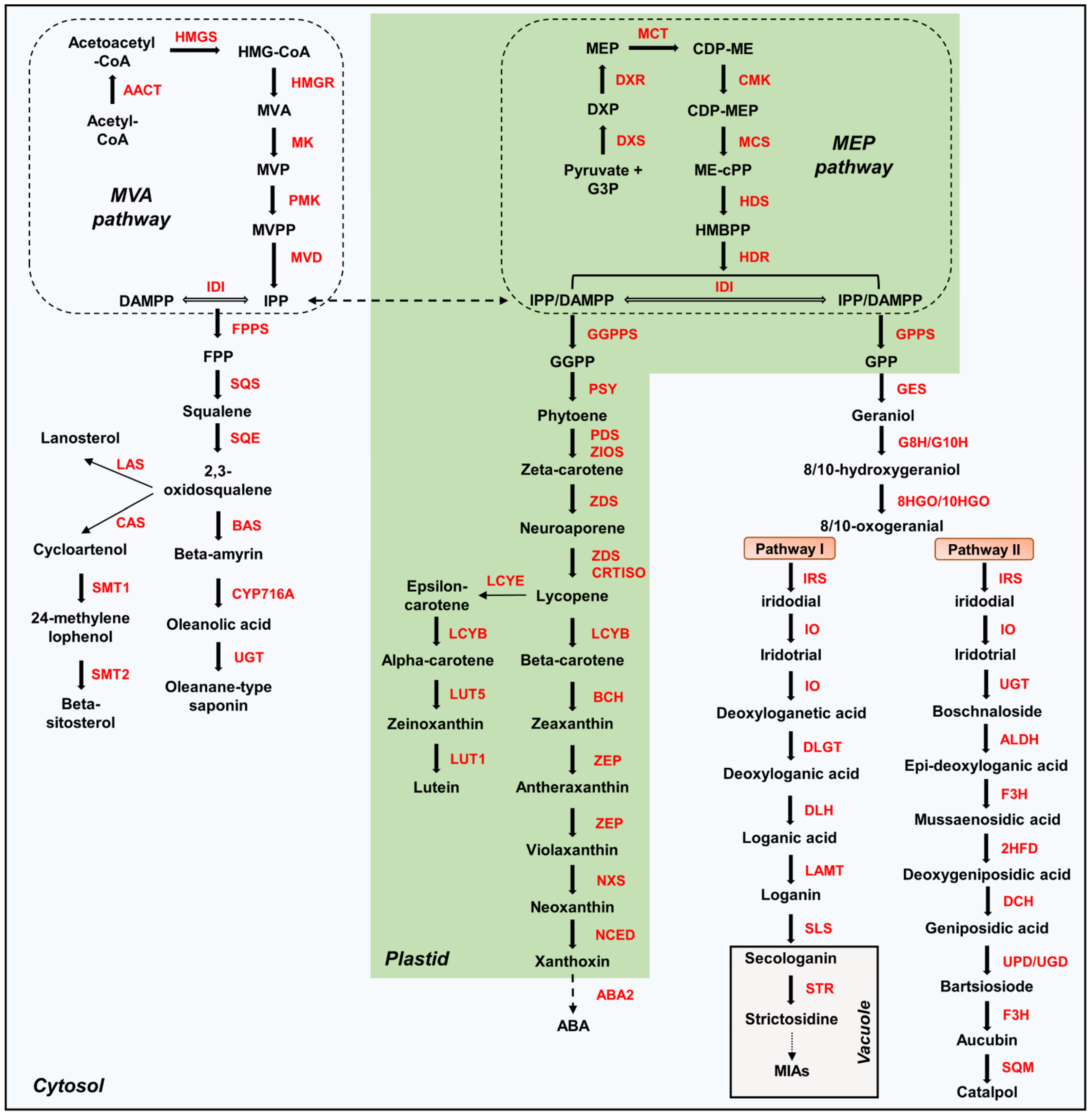 Genes 13 01092 g001 Genes 13 01092 g001