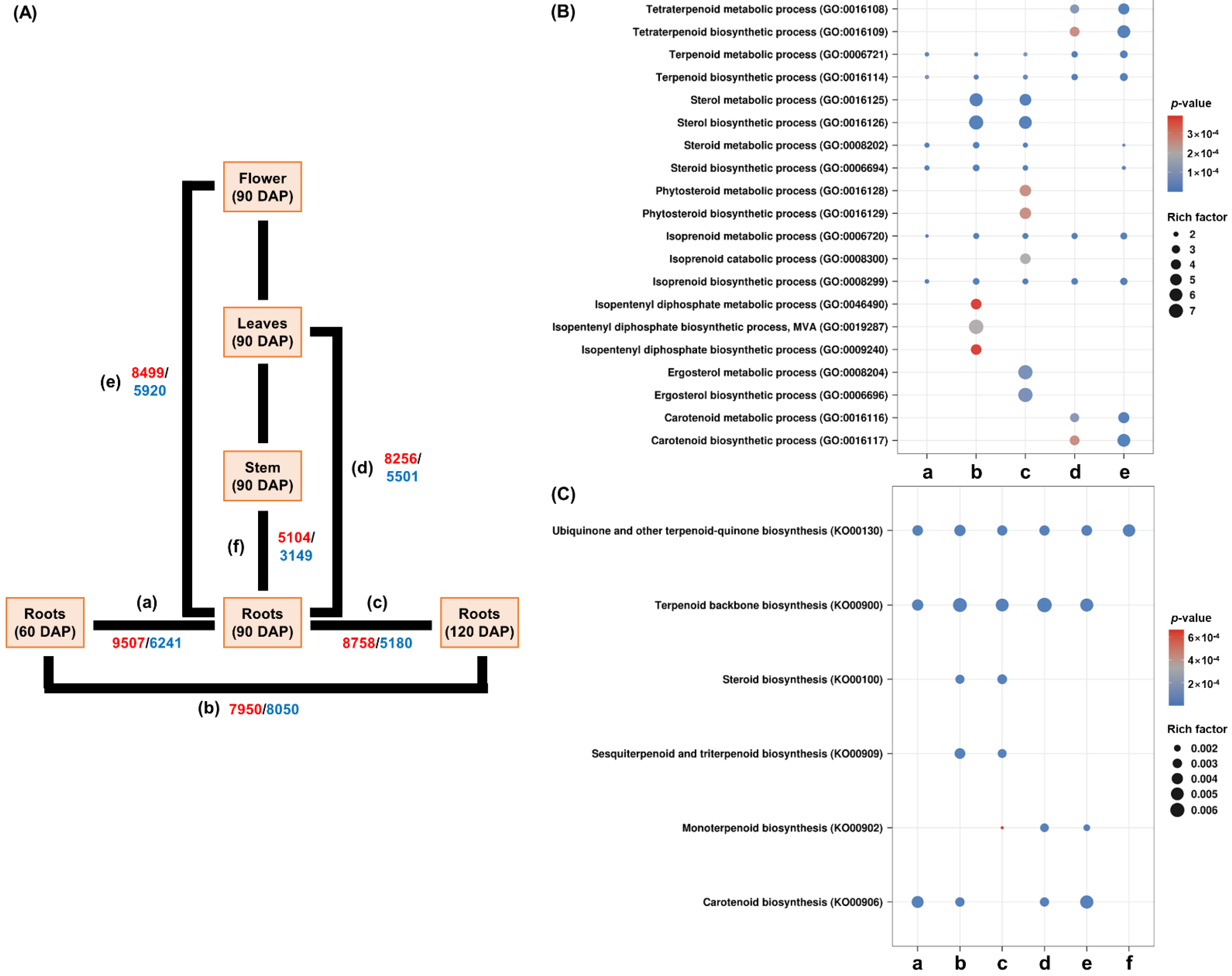 Genes 13 01092 g002 Genes 13 01092 g002