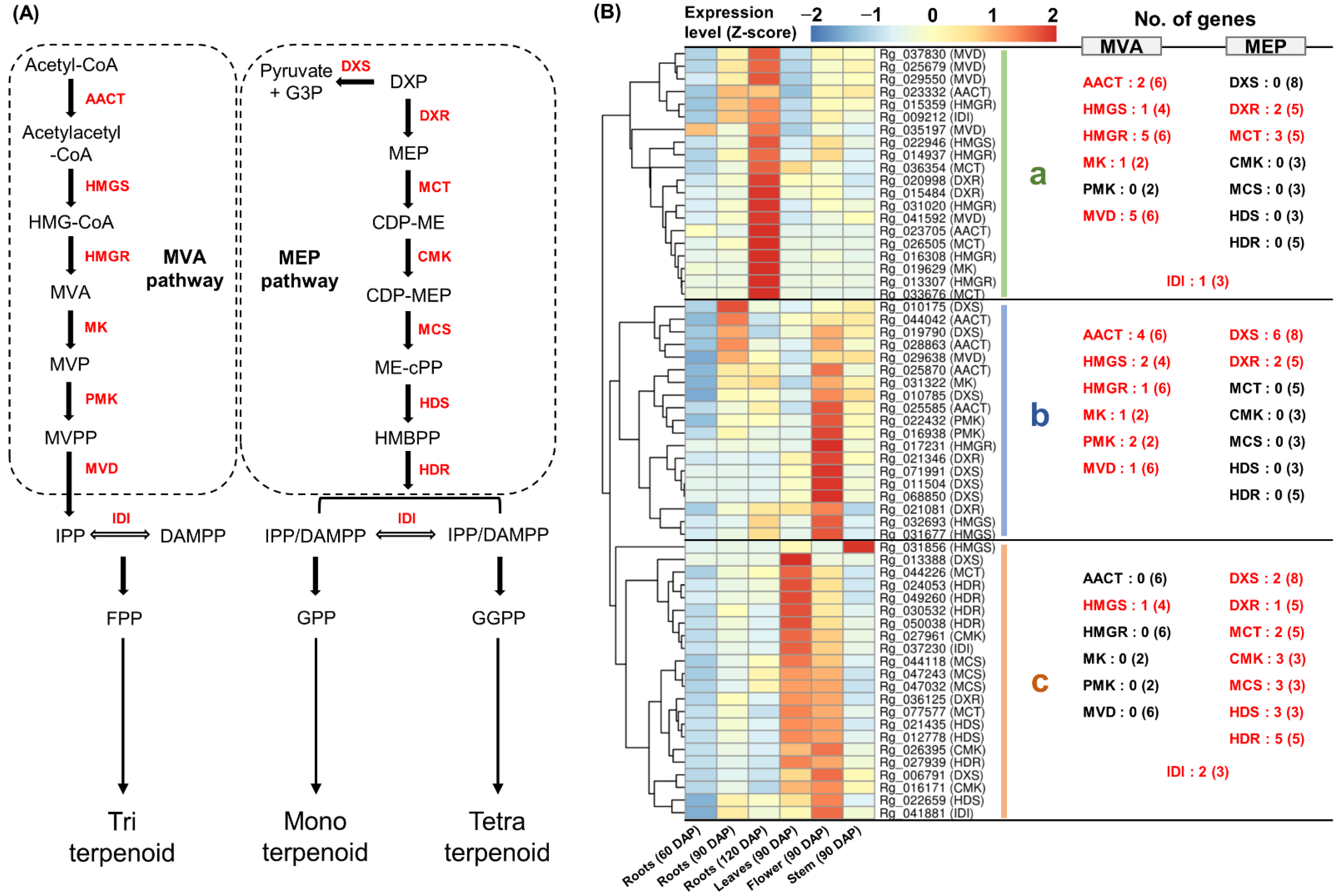 Genes 13 01092 g003 Genes 13 01092 g003
