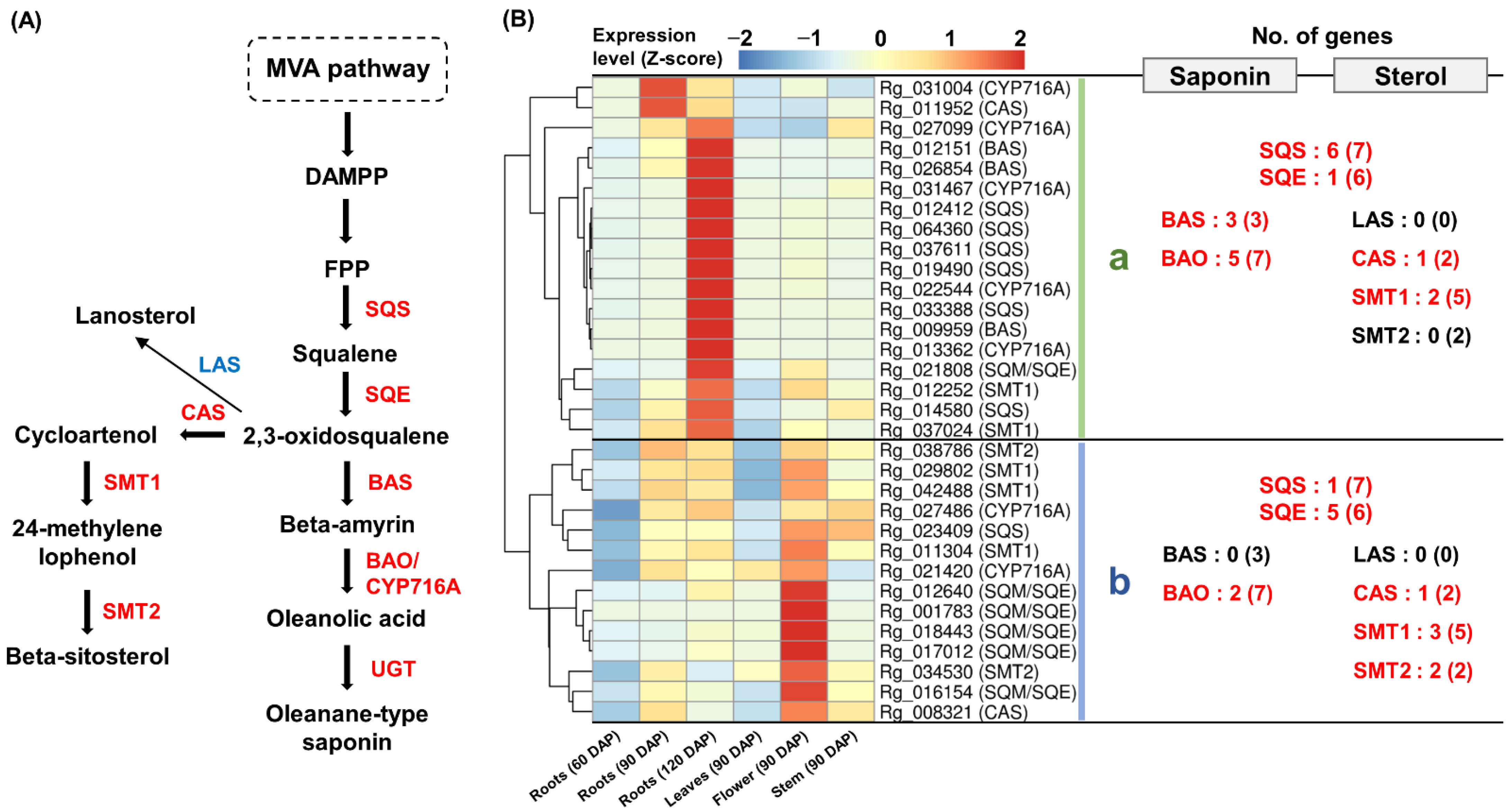 Genes 13 01092 g005 Genes 13 01092 g005