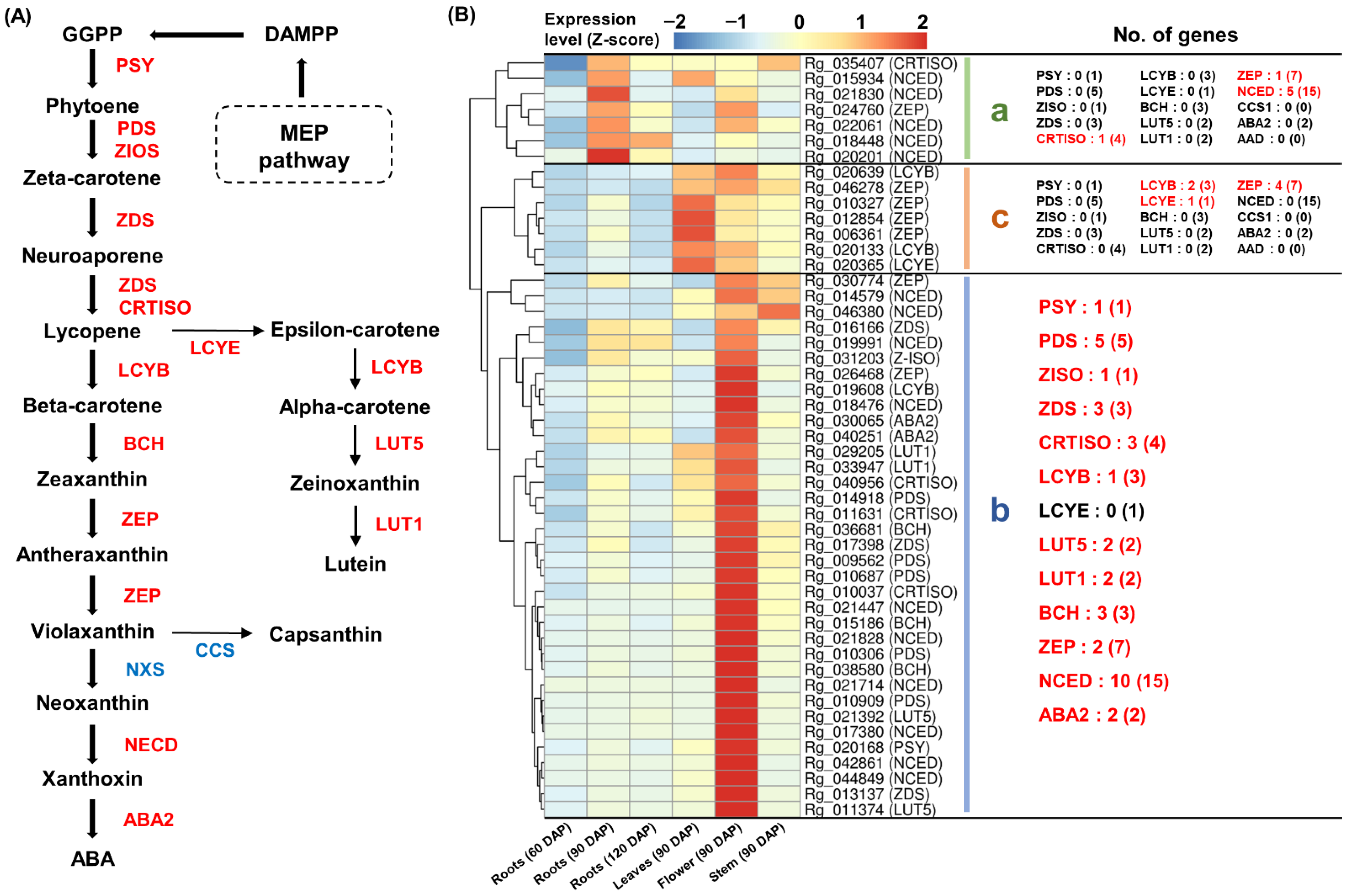 Genes 13 01092 g006 Genes 13 01092 g006