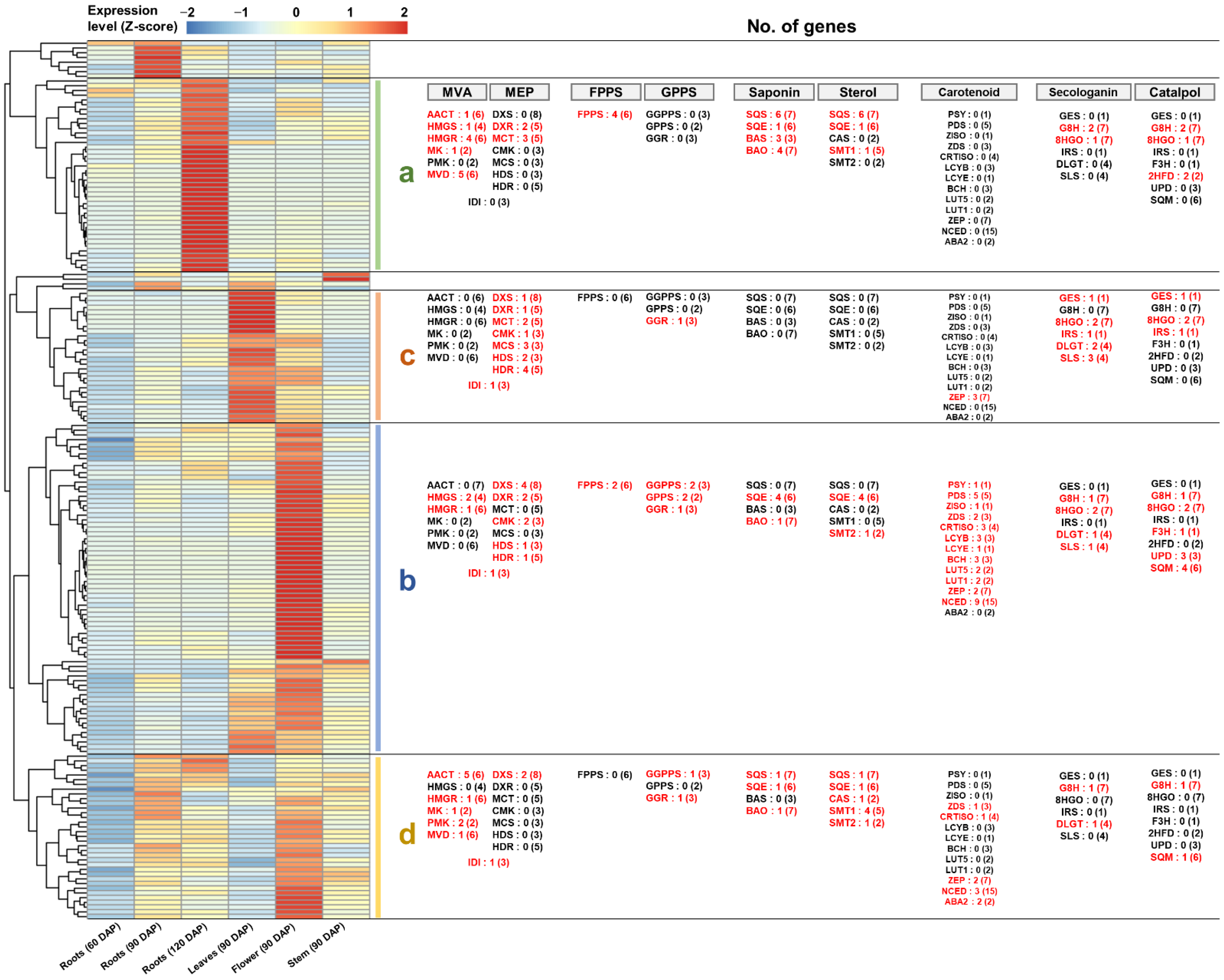 Genes 13 01092 g008 Genes 13 01092 g008