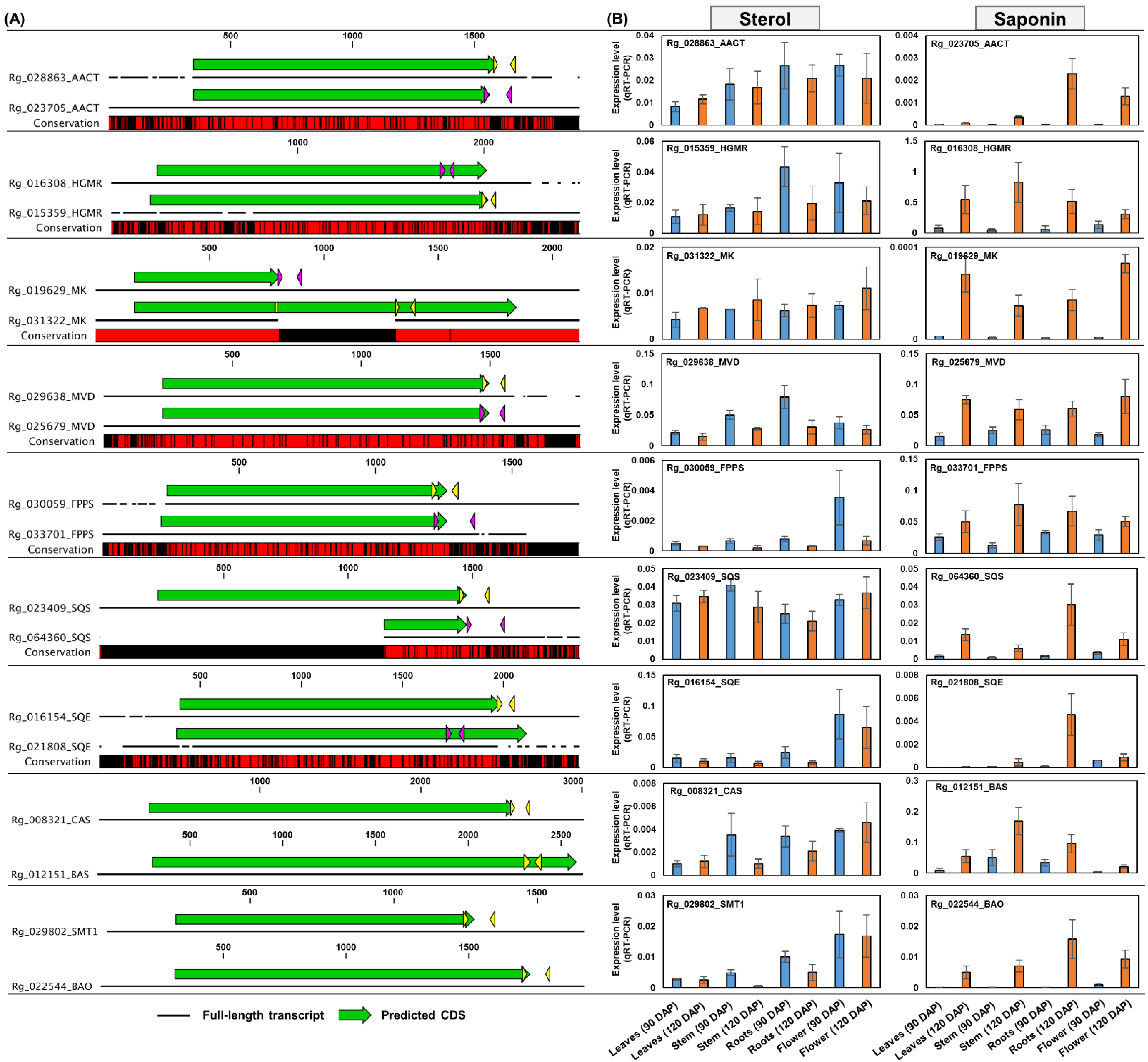 Genes 13 01092 g009 Genes 13 01092 g009