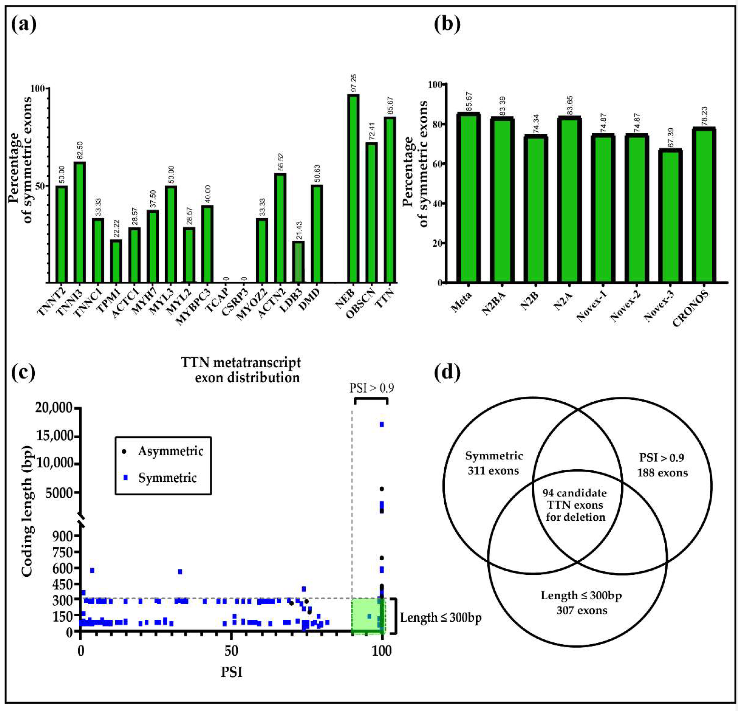 Figures to explain terminology. (A) Intact exon (IE) type and broken