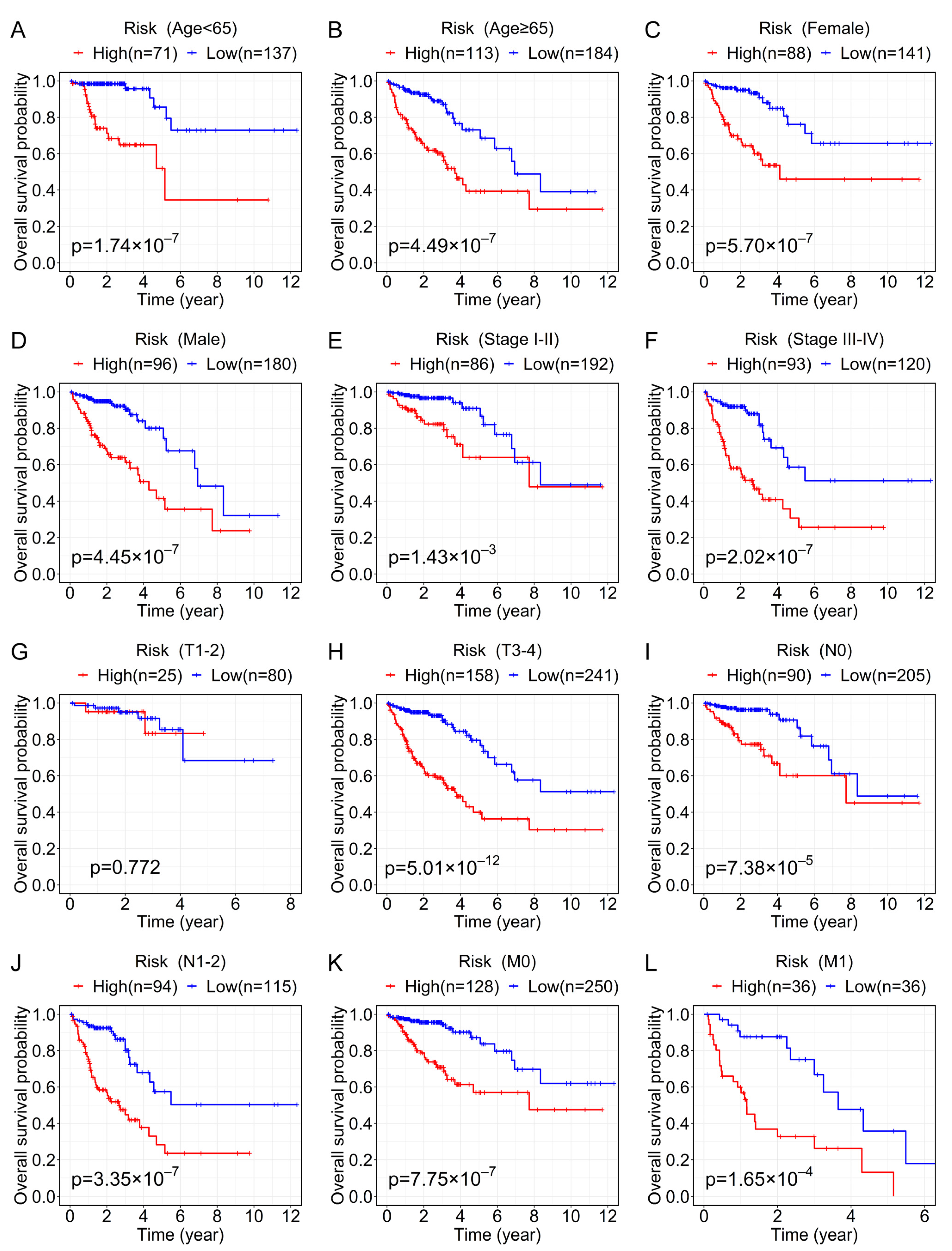 Genes 13 01094 g005 Genes 13 01094 g005