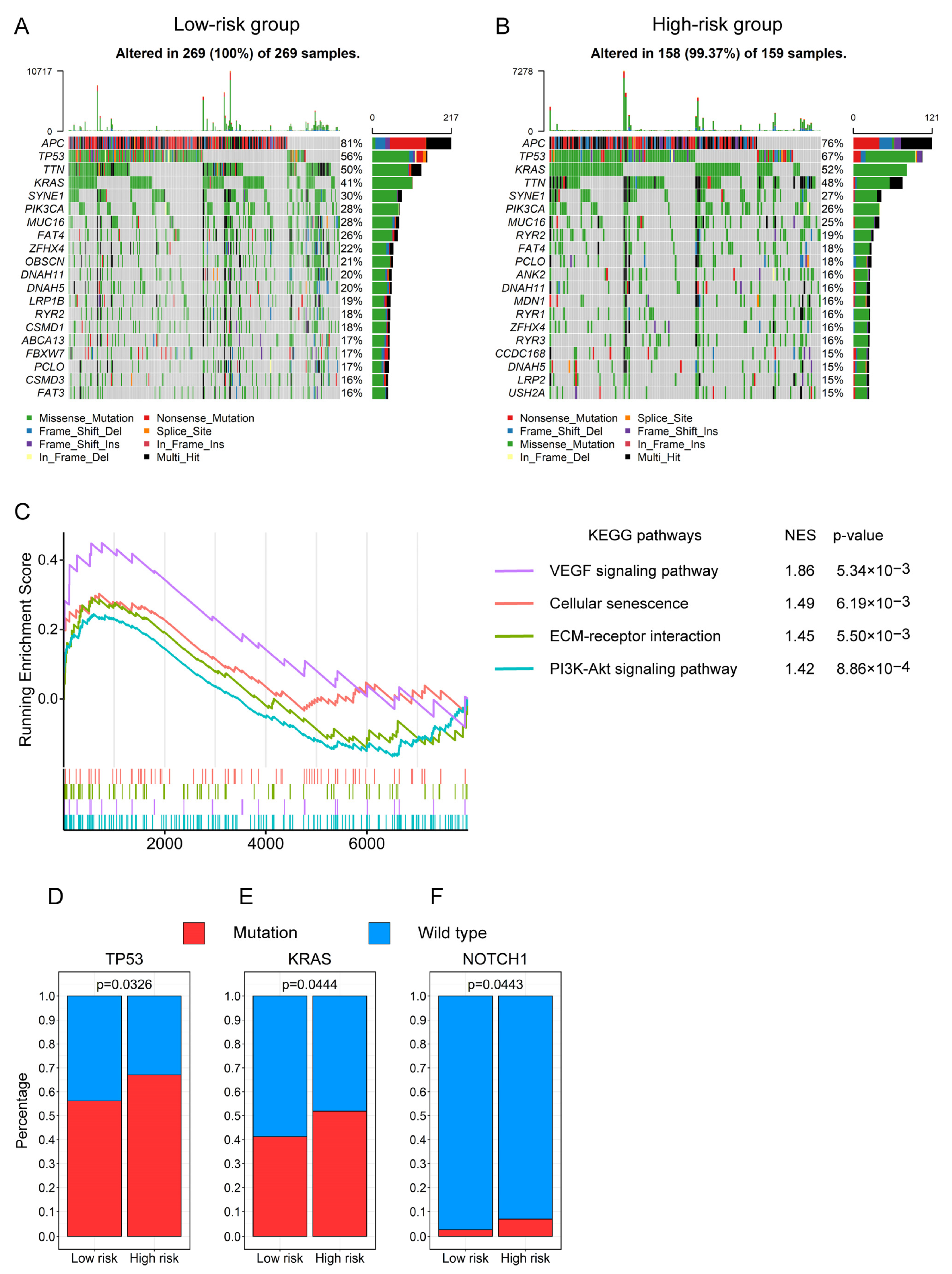 Genes 13 01094 g009 Genes 13 01094 g009