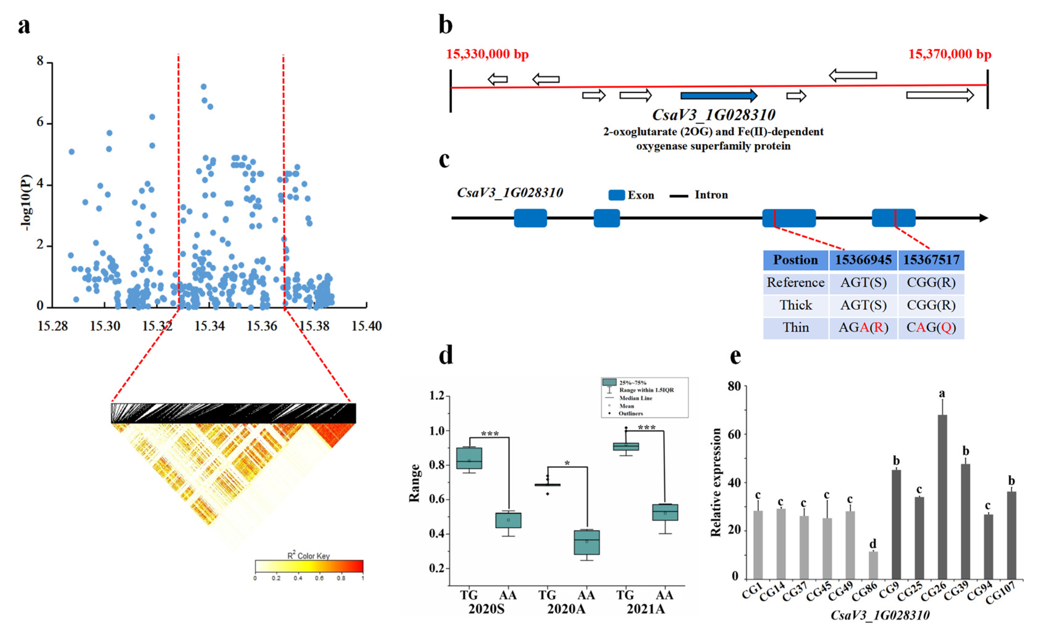 Genes 13 01095 g004 Genes 13 01095 g004