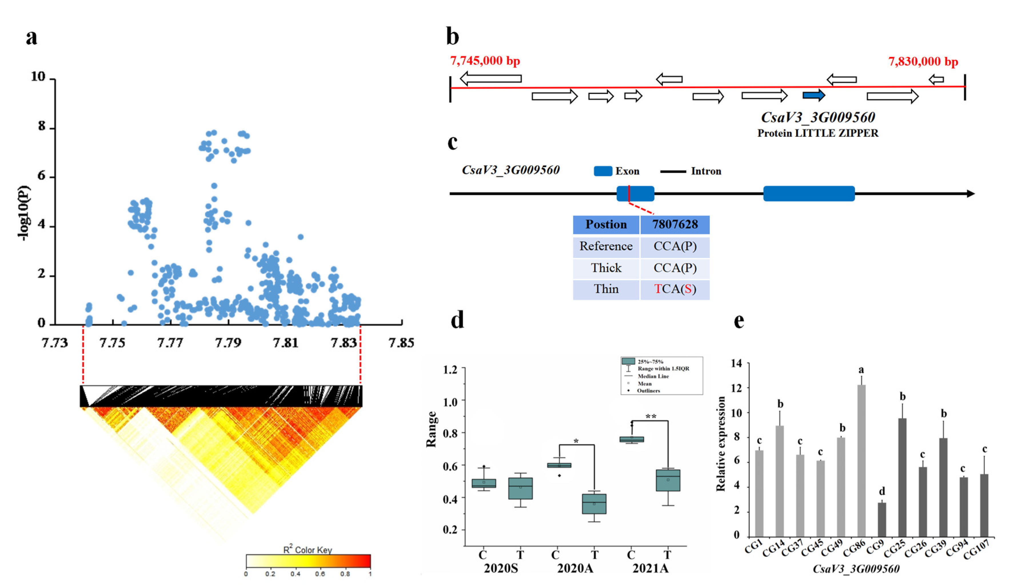 Genes 13 01095 g006 Genes 13 01095 g006