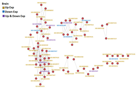 Comparative Transcriptome Analysis of Organ-Specific