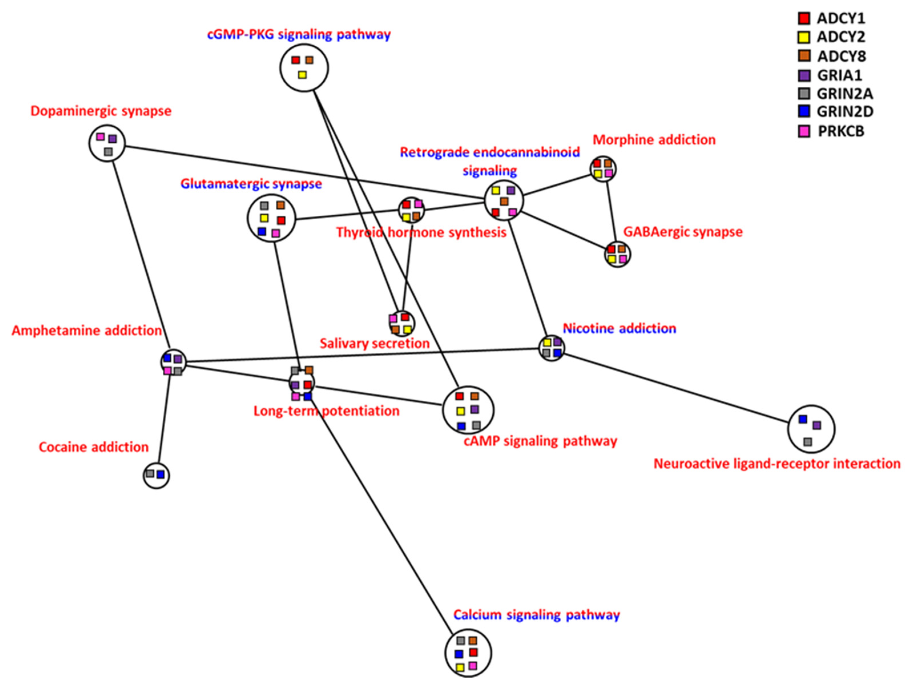Comparative Transcriptome Analysis of Organ-Specific