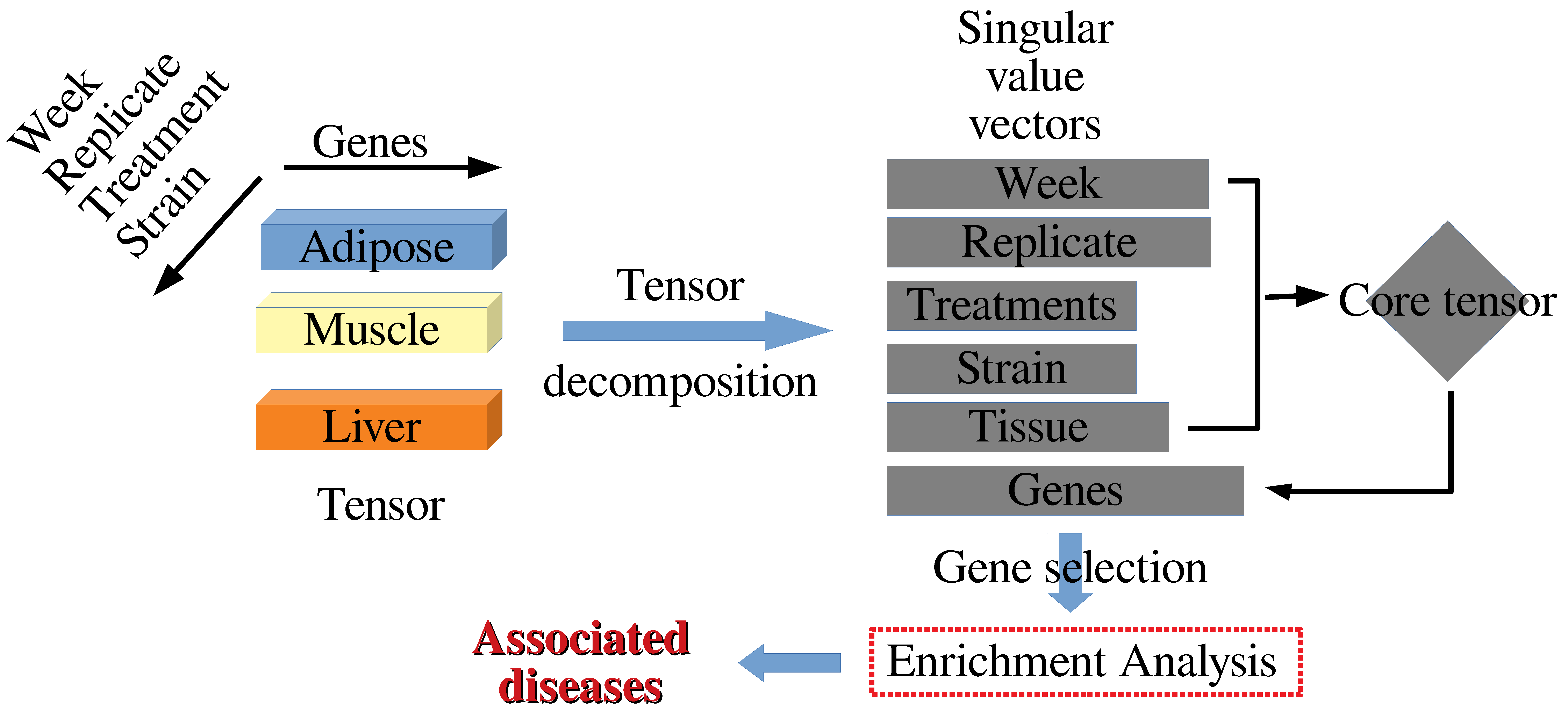 Genes 13 01097 g001 550