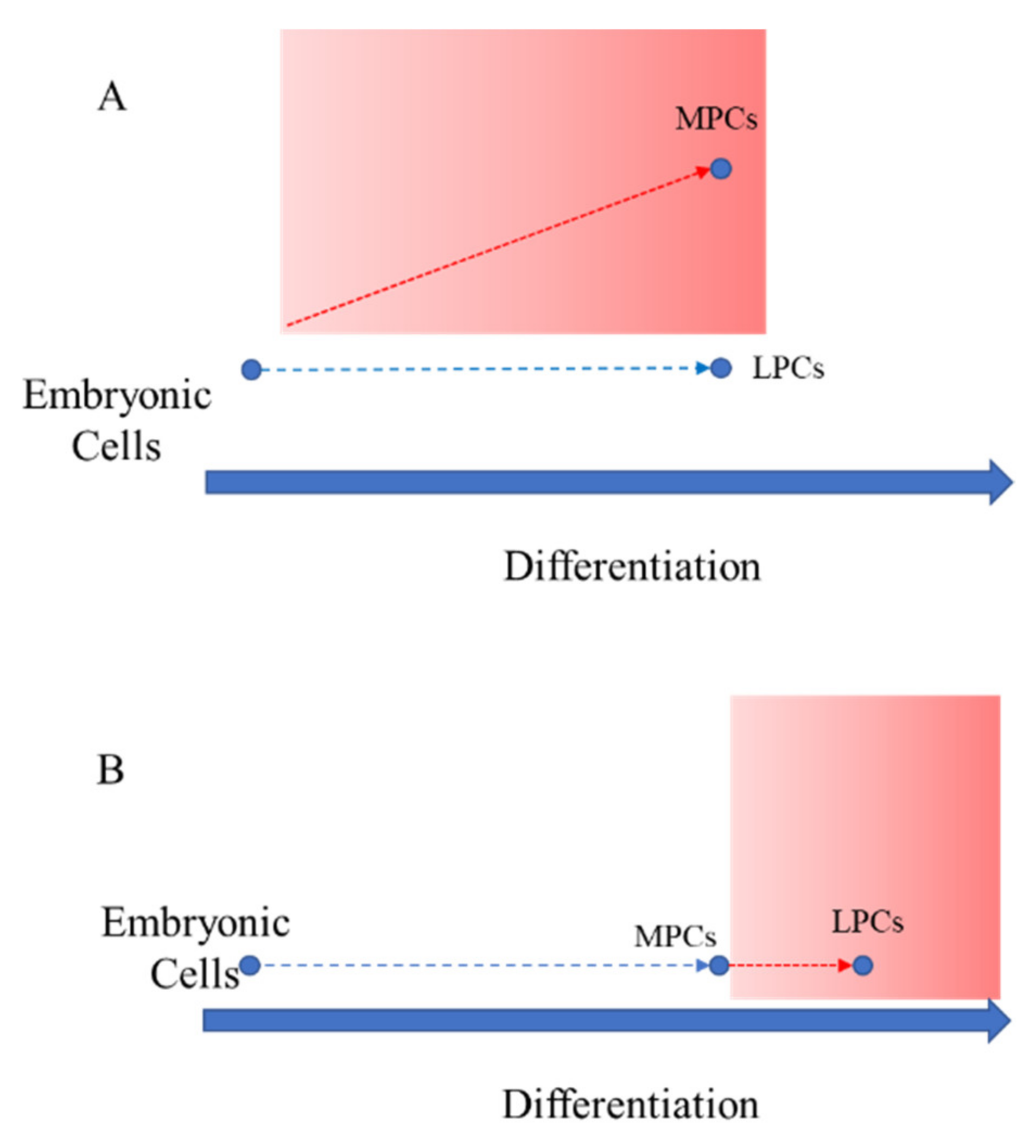 Genes 13 01106 g001 550