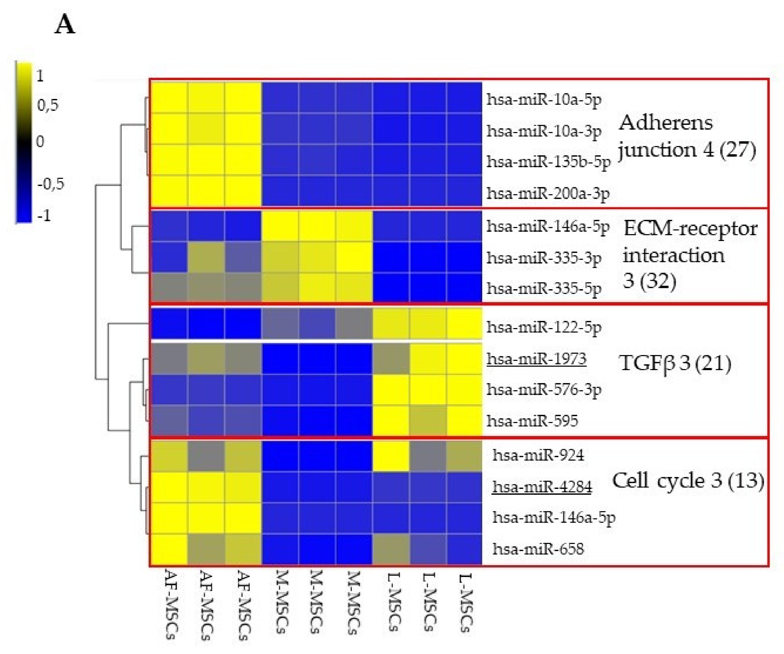 Genes 13 01106 g004a 550