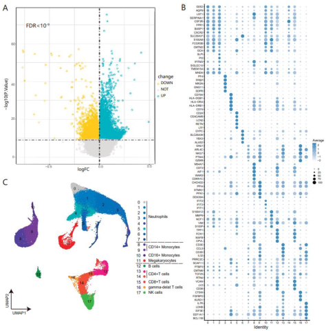 Genes 13 01109 g002a 550