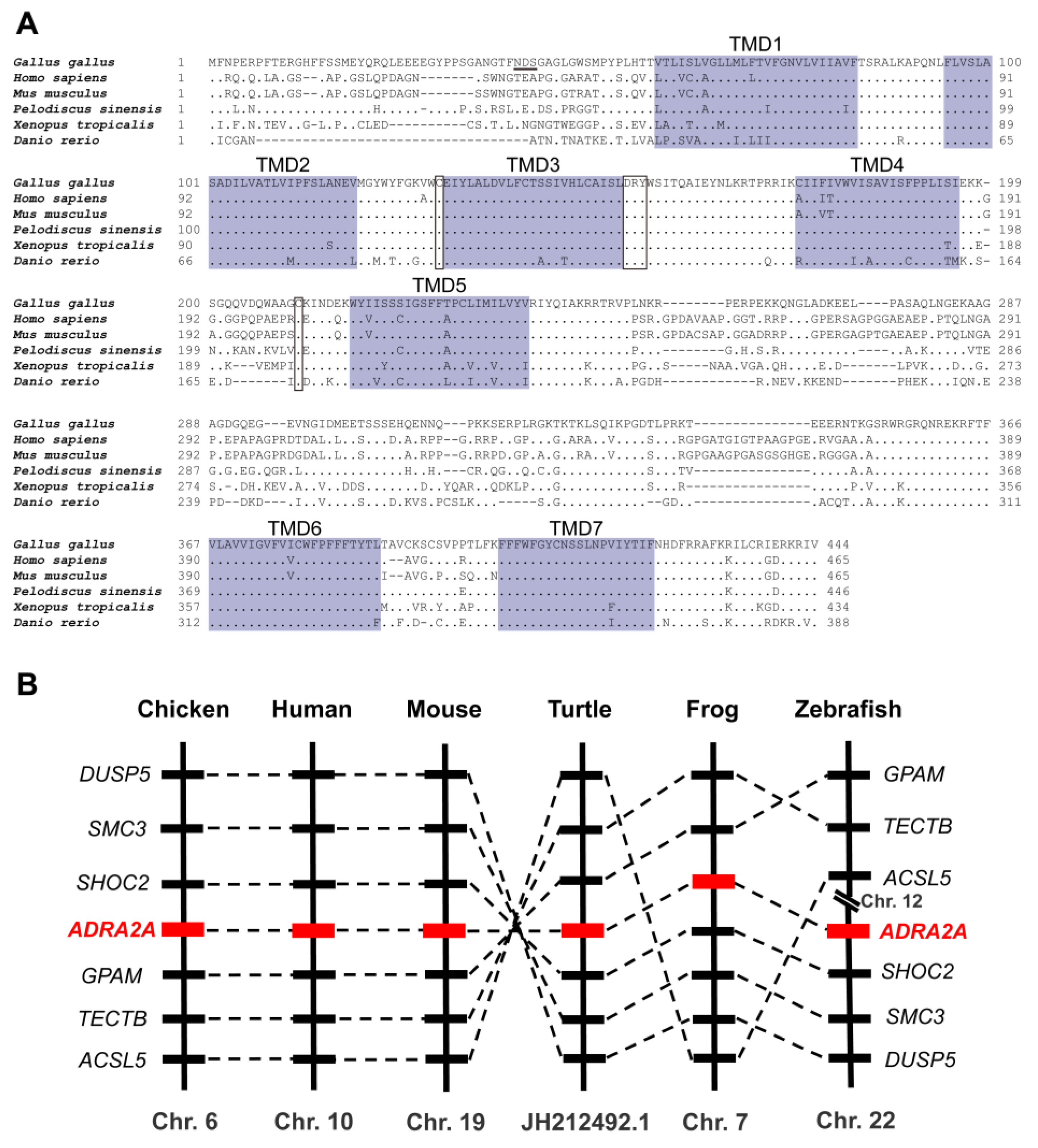 Genes 13 01113 g001 Genes 13 01113 g001