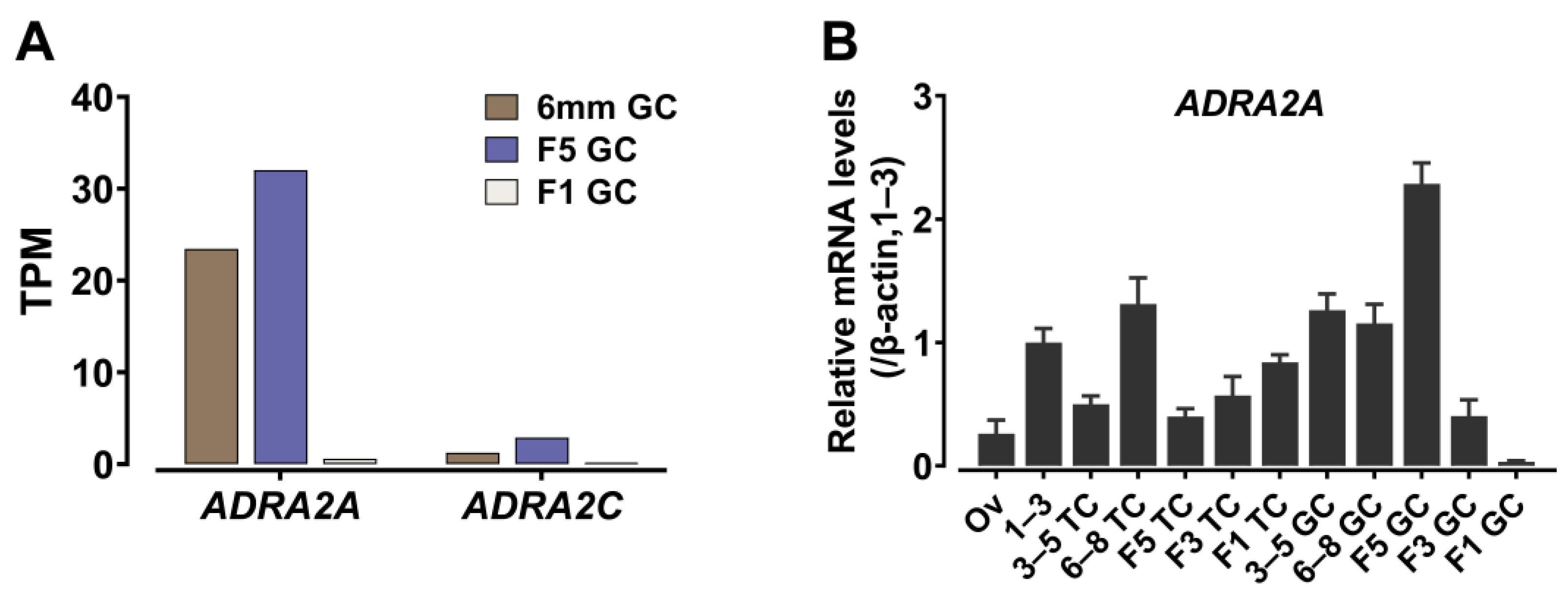Genes 13 01113 g005 Genes 13 01113 g005