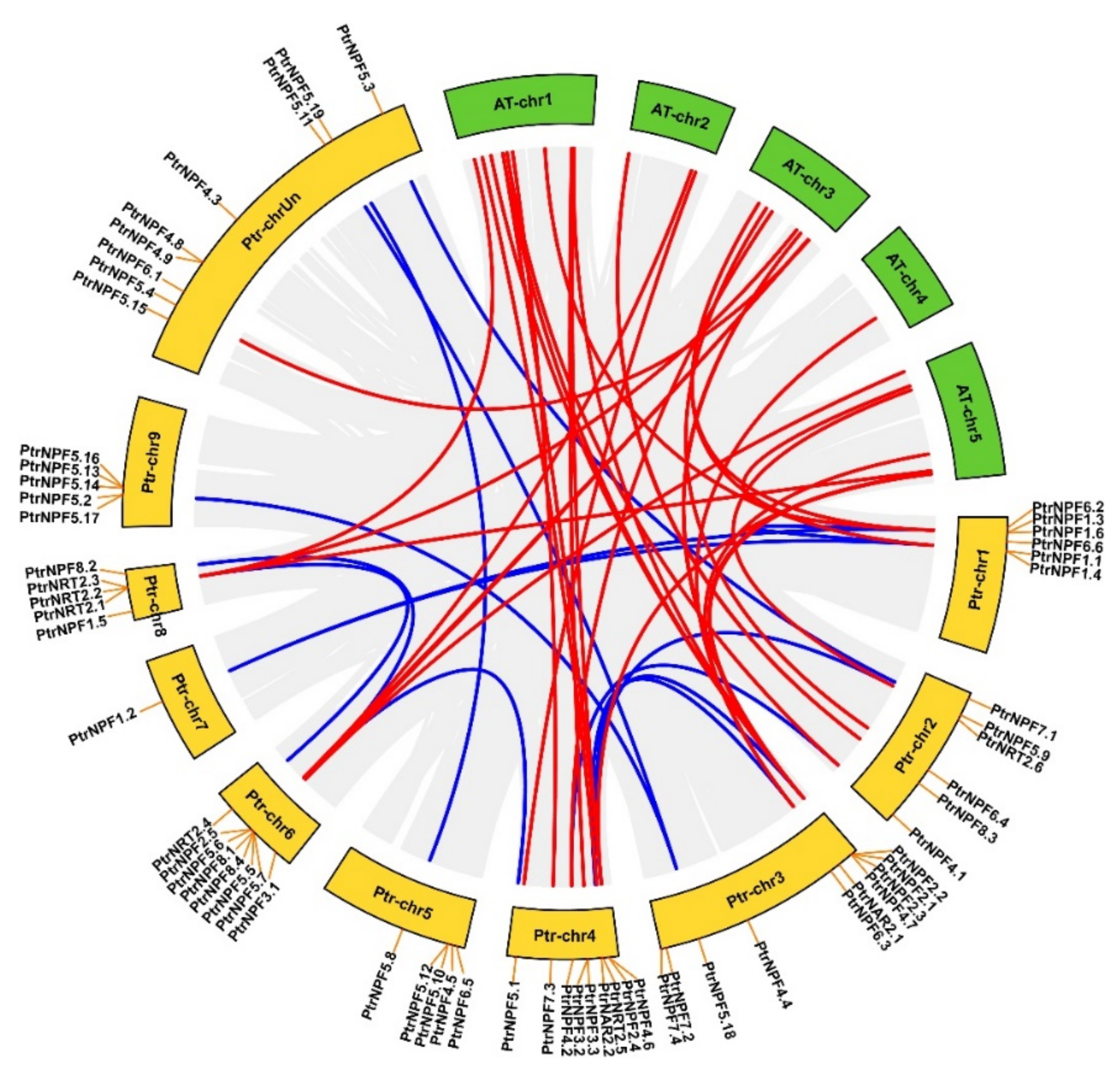 Genes 13 01115 g002 Genes 13 01115 g002