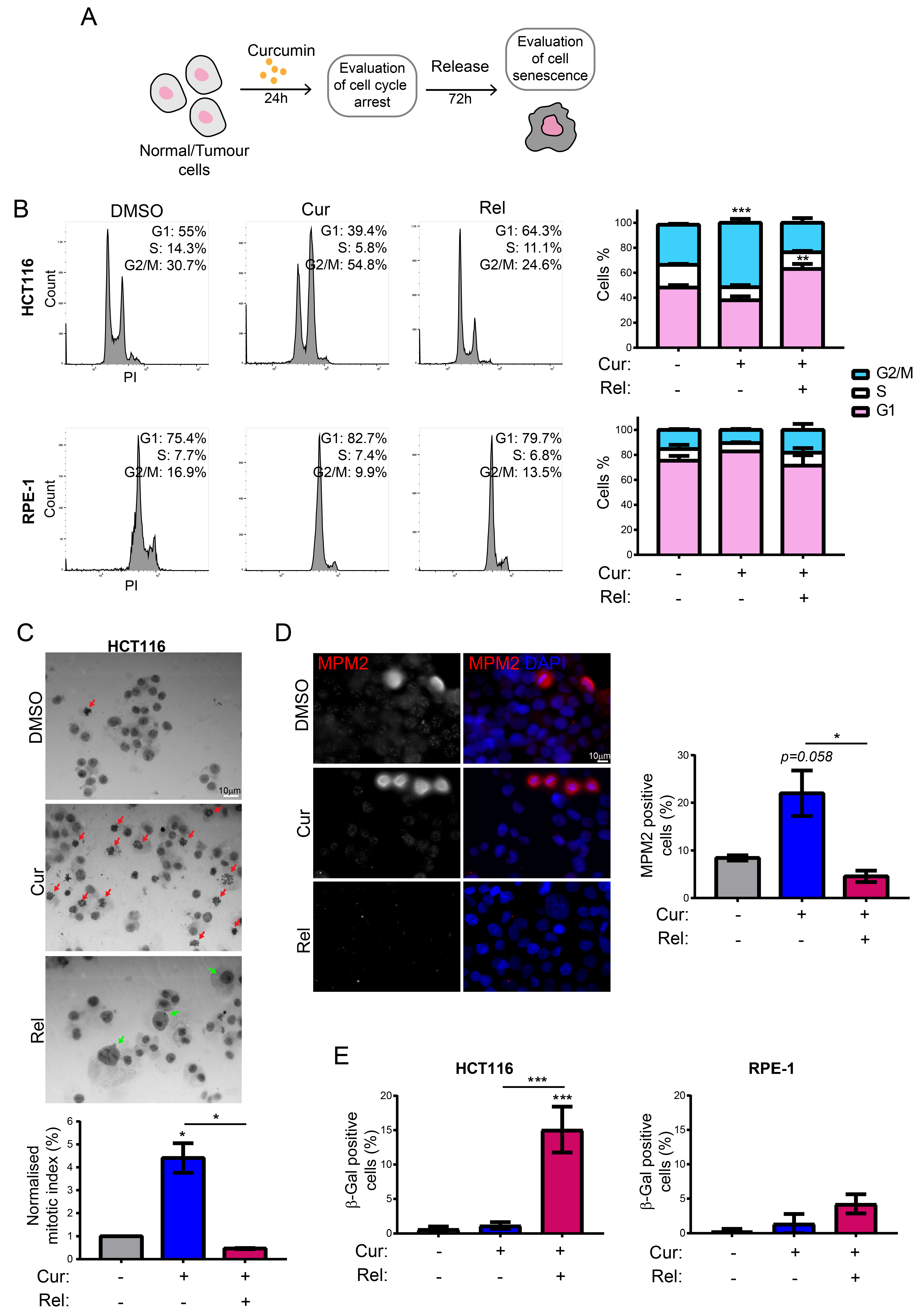 Genes 13 01125 g001 550