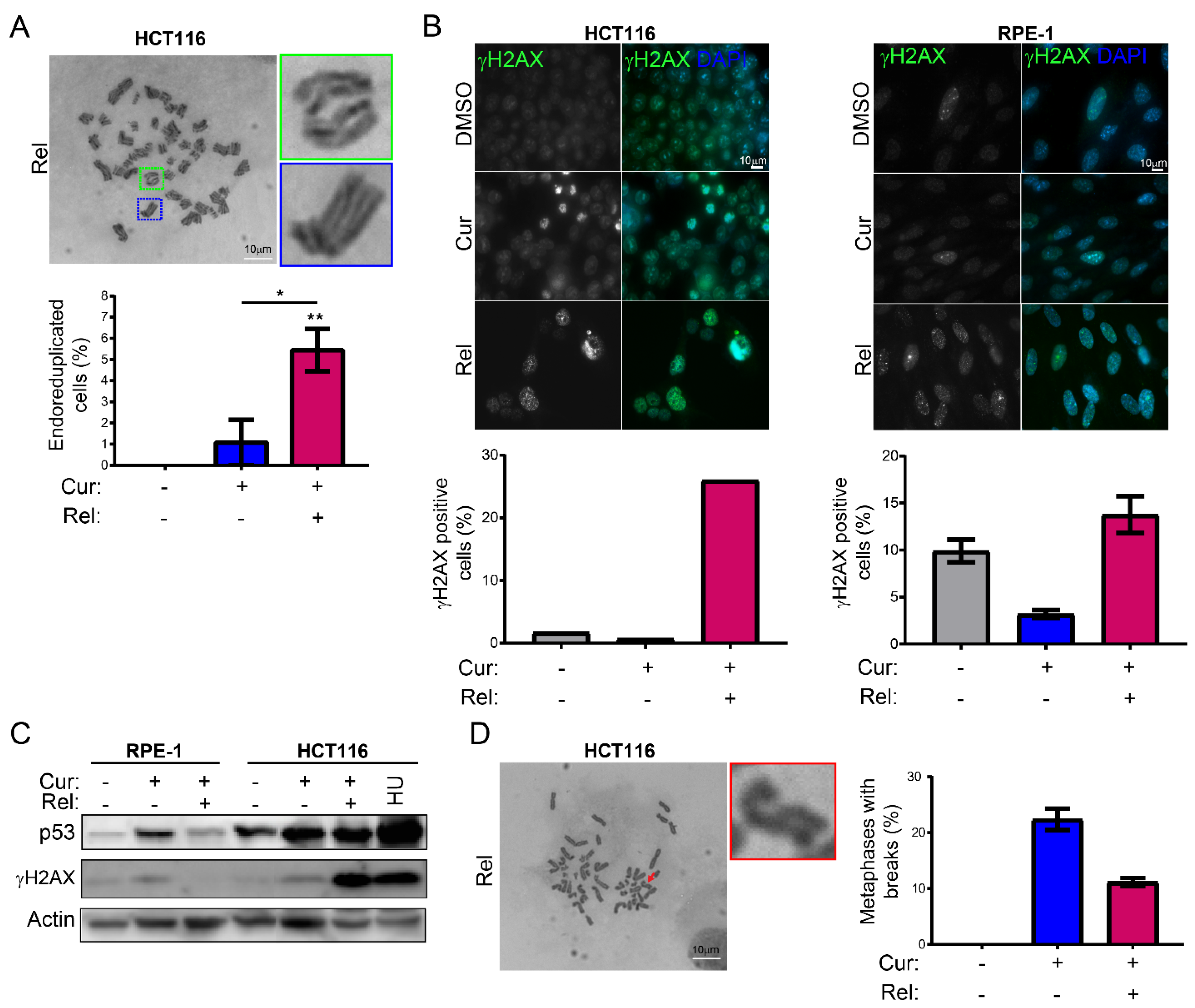 Genes 13 01125 g002 550
