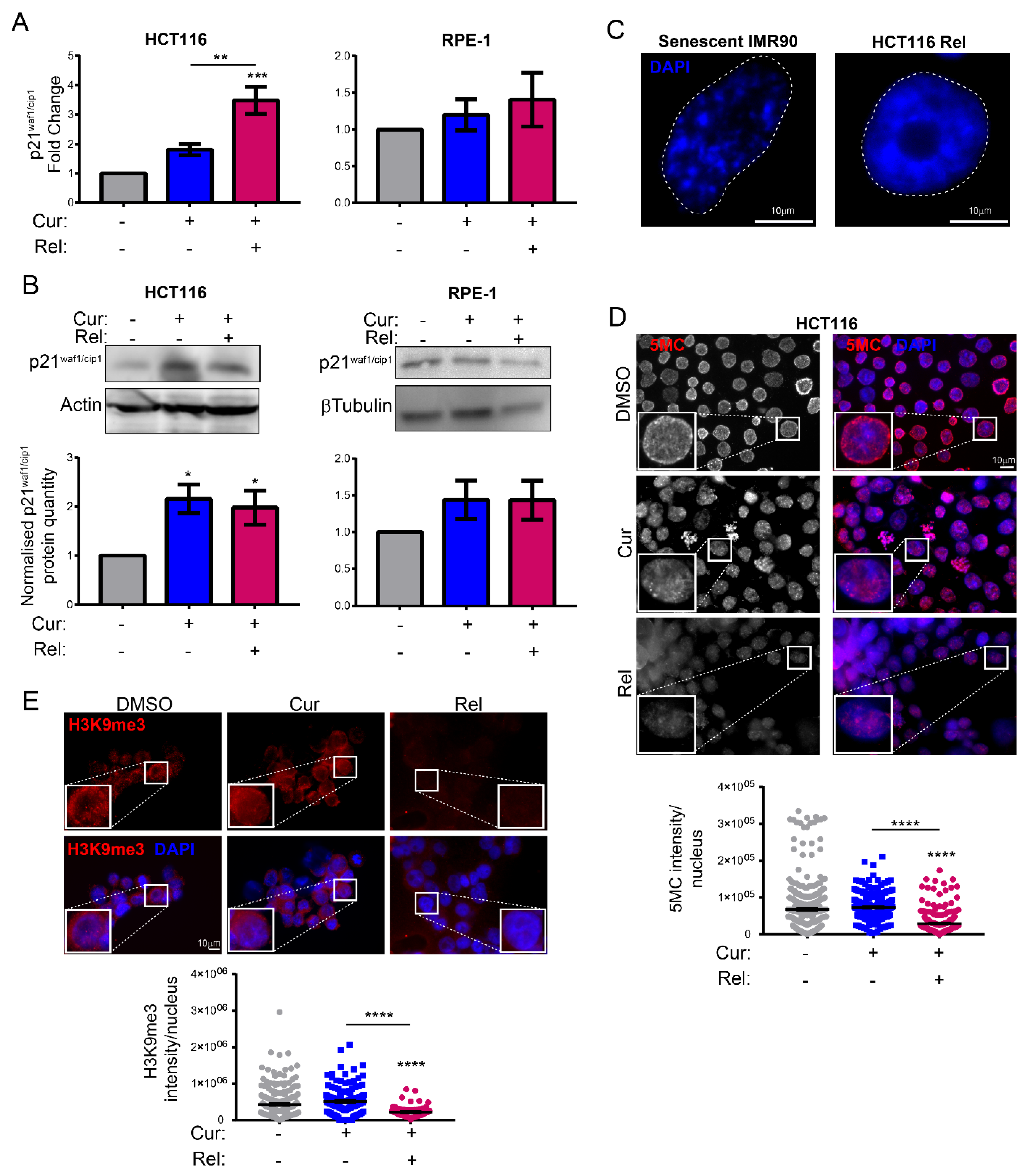 Genes 13 01125 g003 550