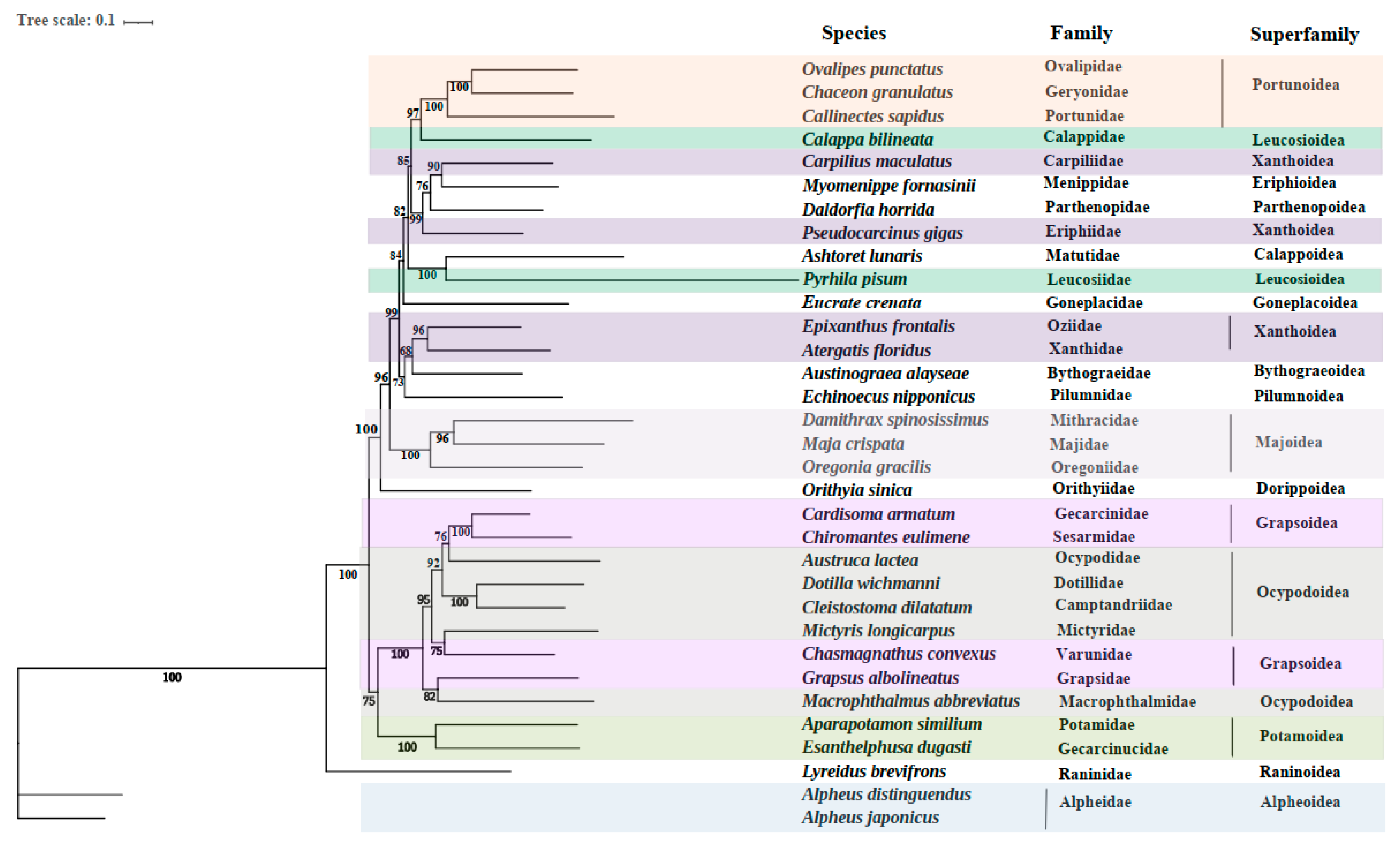 Genes 13 01127 g003