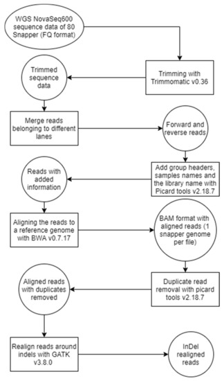 Genes Free Full Text The Relative Power Of Structural Genomic Variation Versus Snps In Explaining The Quantitative Trait Growth In The Marine Teleost Chrysophrys Auratus