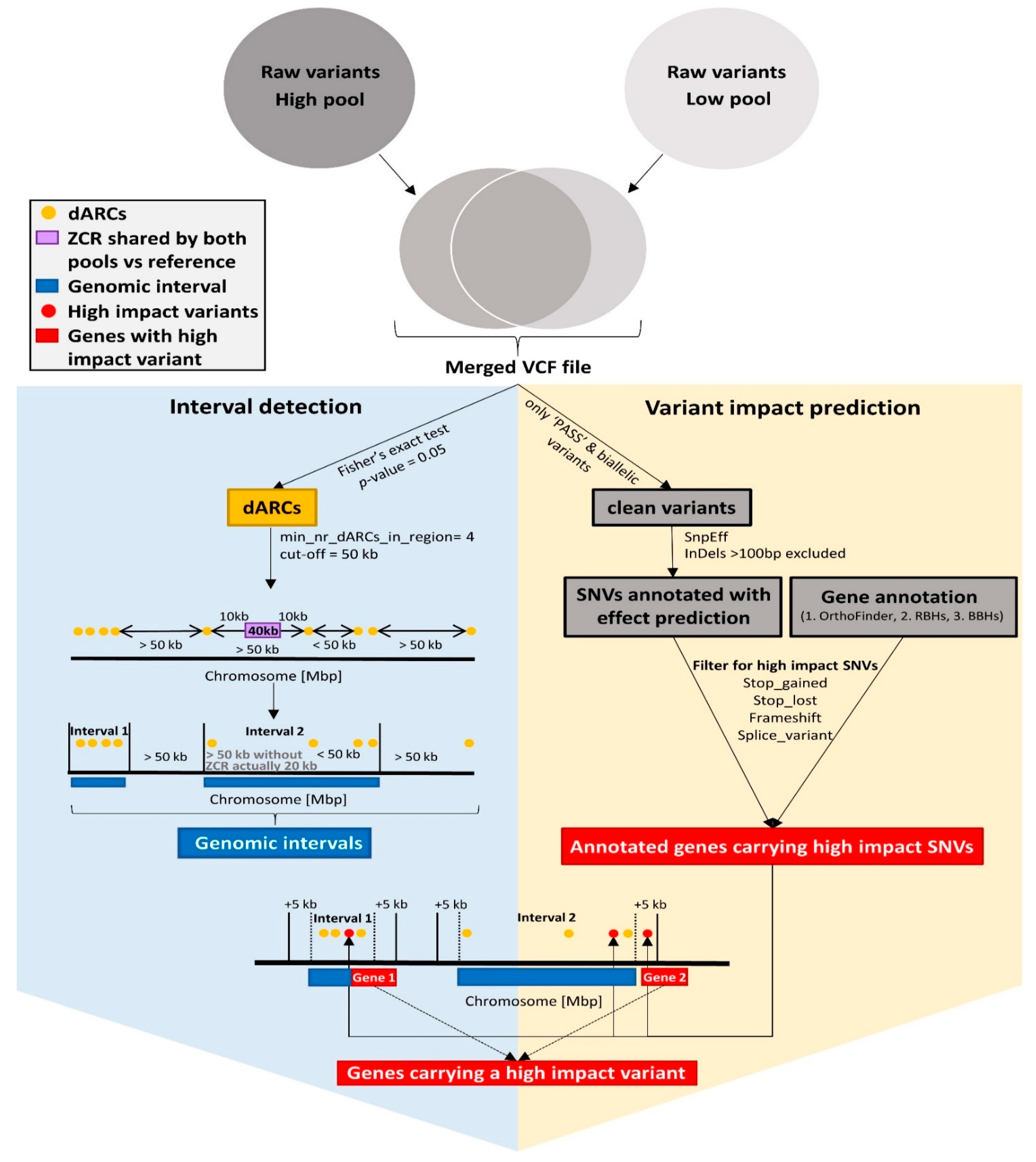 Genes 13 01131 g001 550