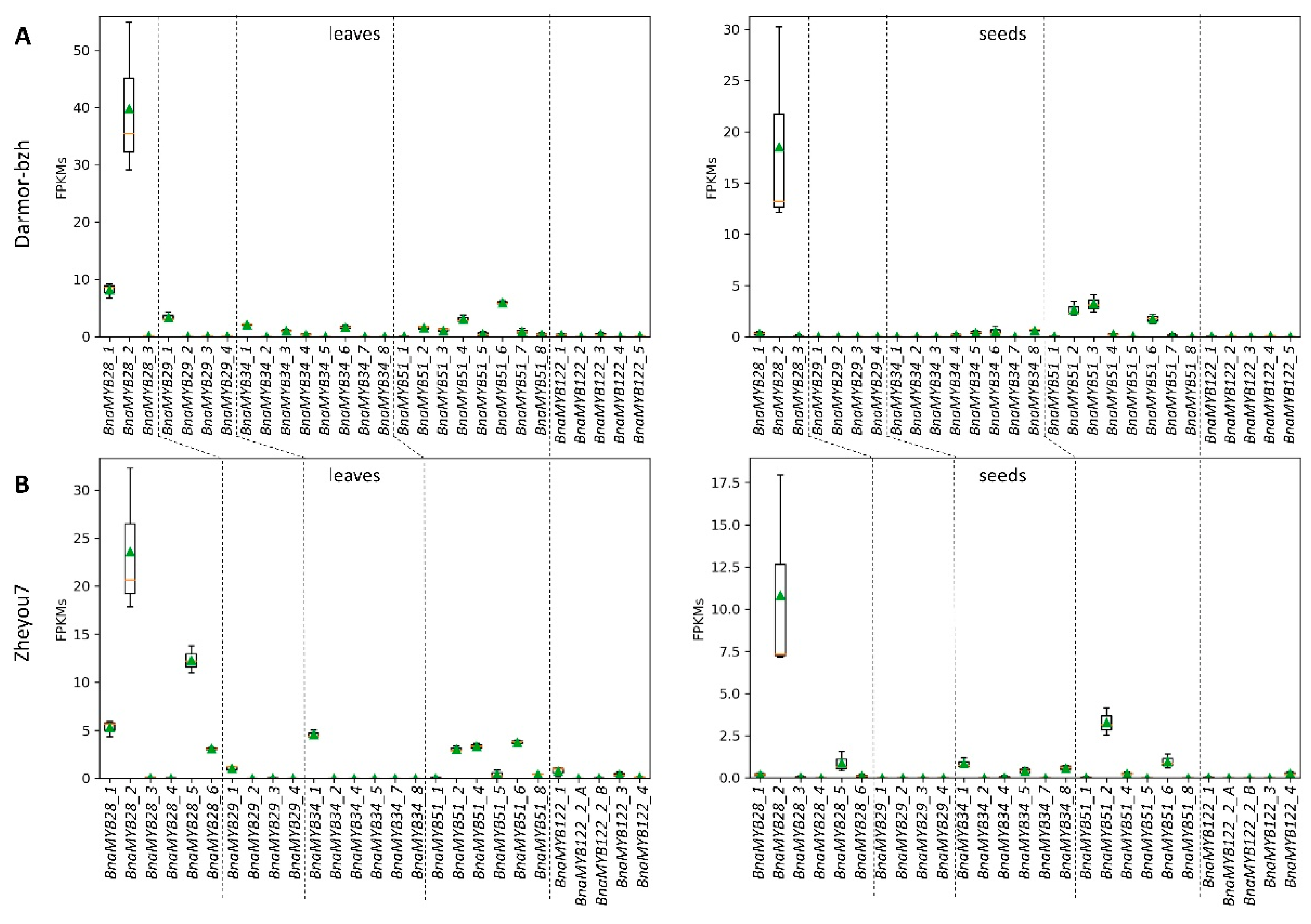 Genes 13 01131 g004 550