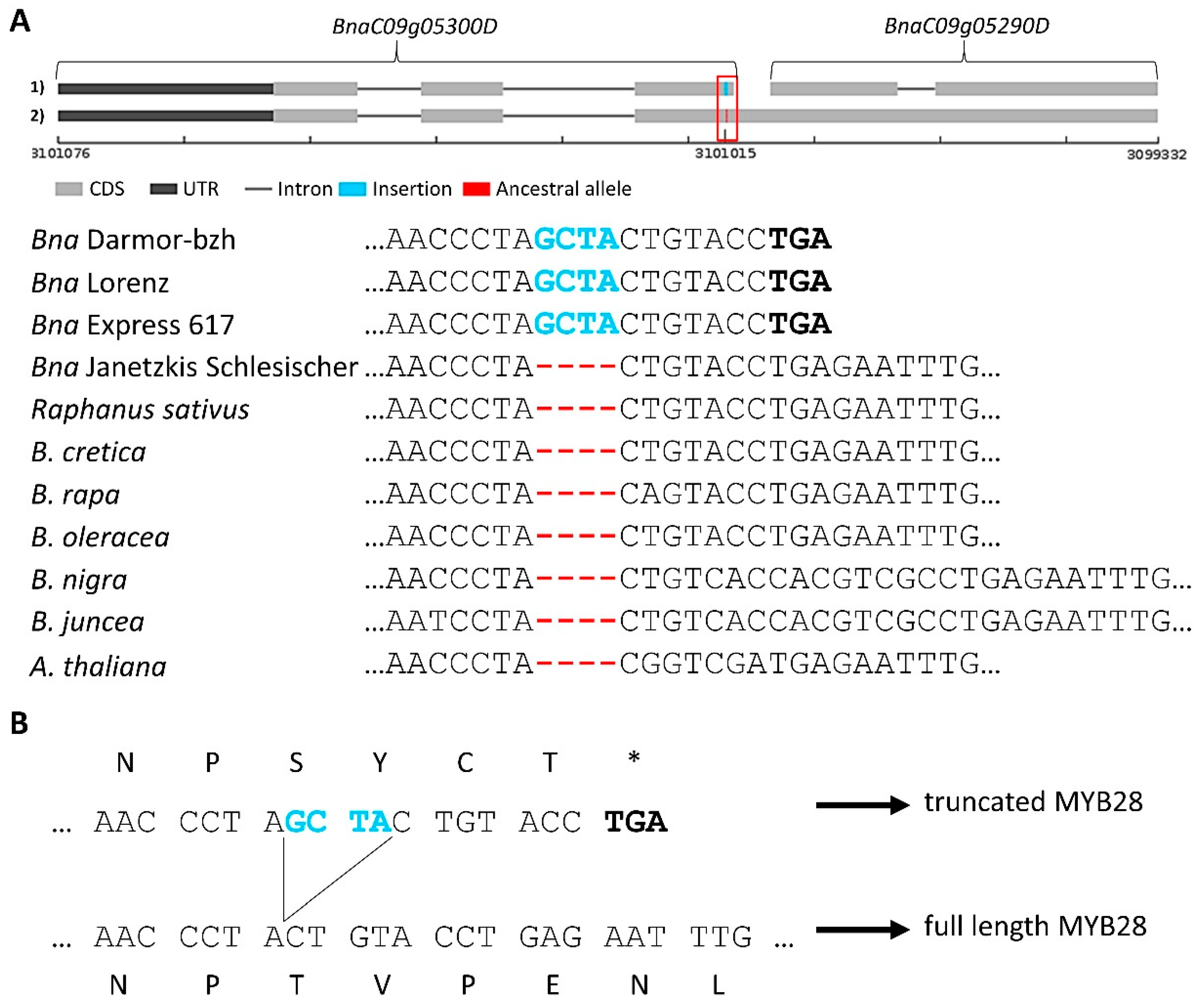 Genes 13 01131 g005 550
