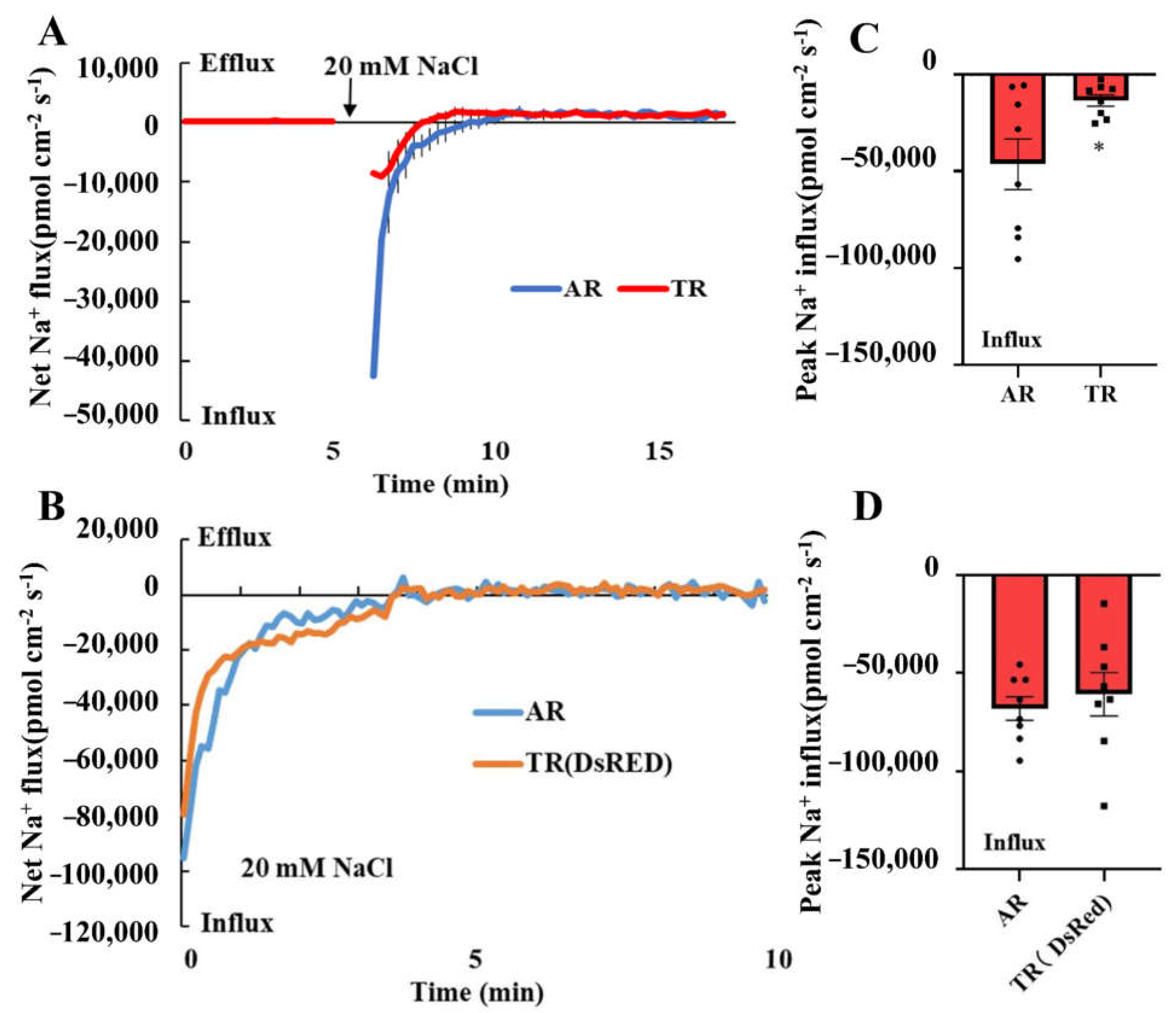 Genes 13 01140 g004