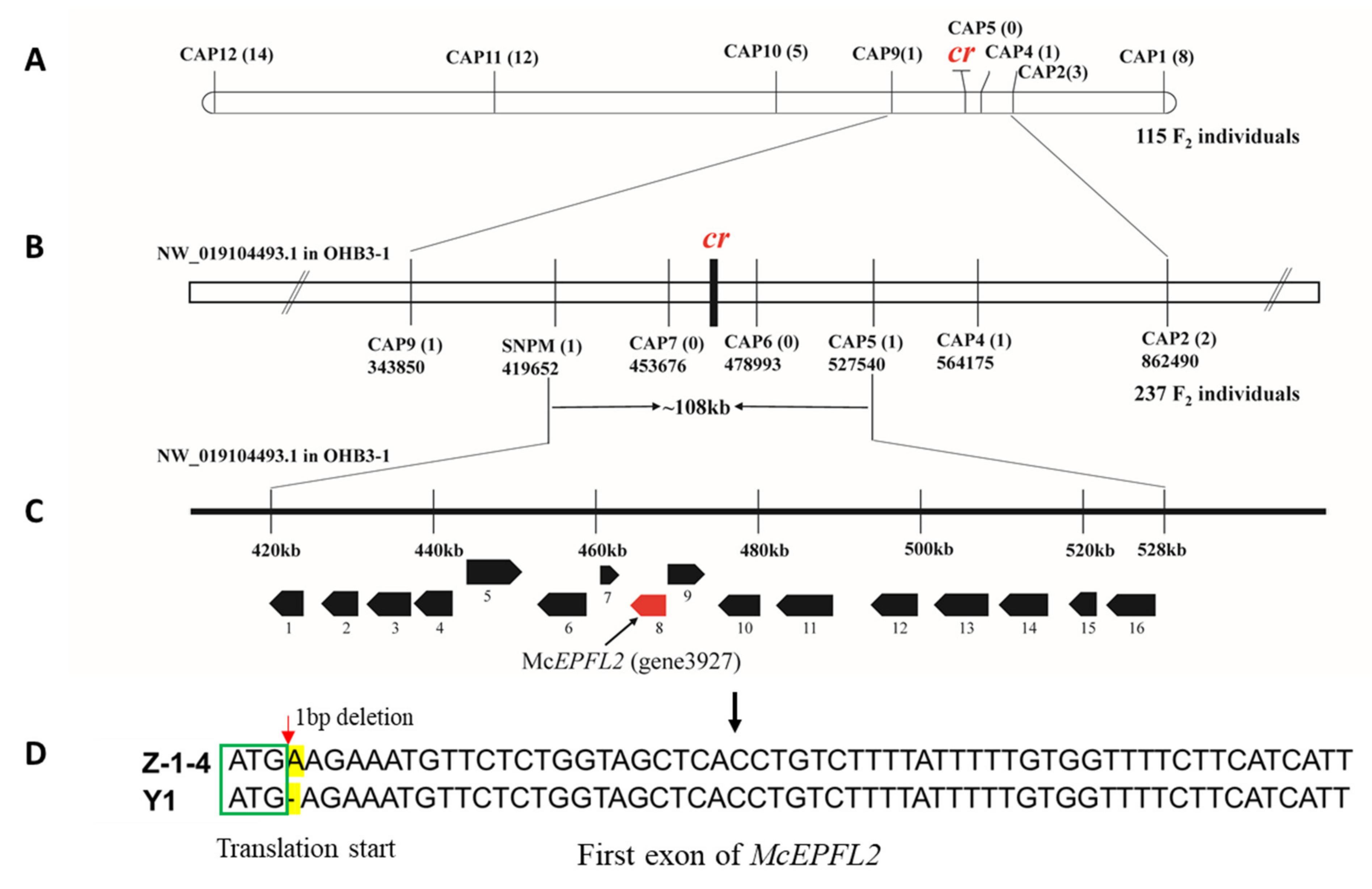Genes 13 01148 g003 550
