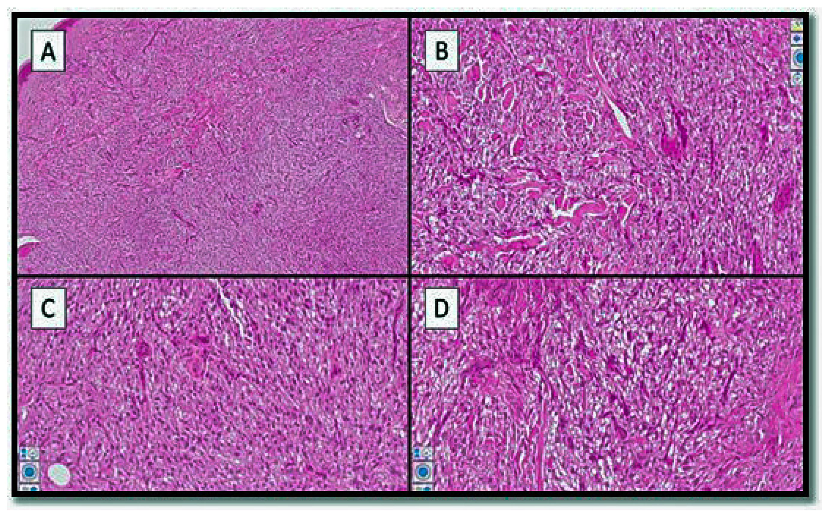 Genes 13 01153 g002 550