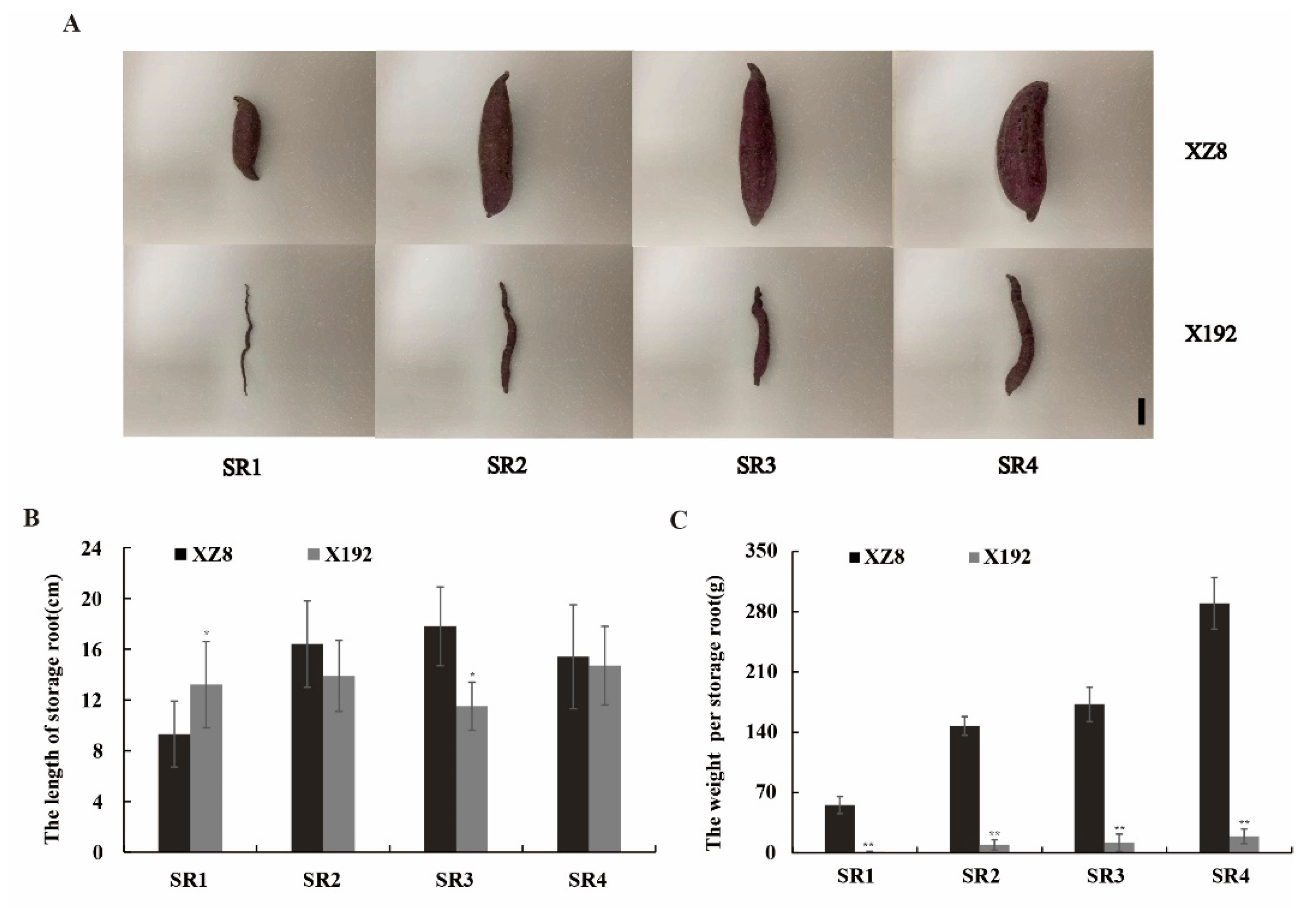 Genes 13 01156 g001 550